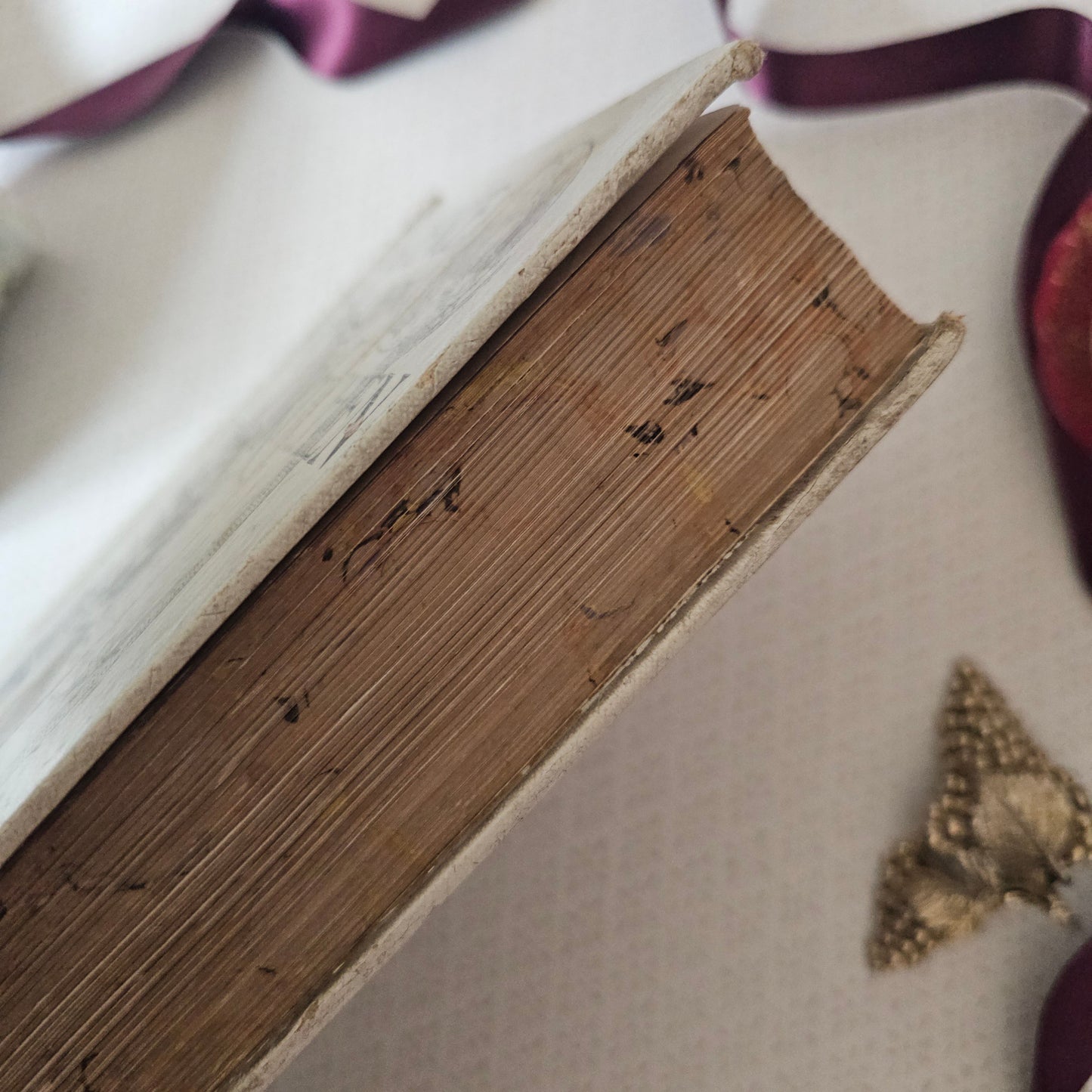 Antique Cookery Book: Science in the Kitchen by Mrs Kellogg