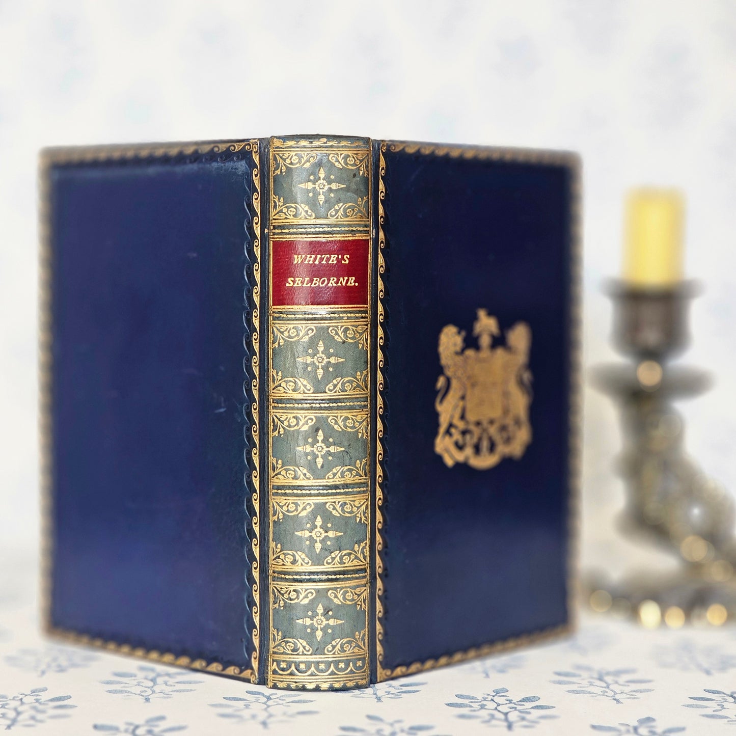 c1912 Natural History of Selborne: Antique Fine Leather Binding