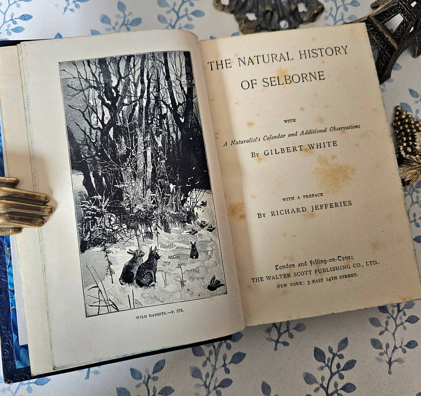 c1912 Natural History of Selborne: Antique Fine Leather Binding