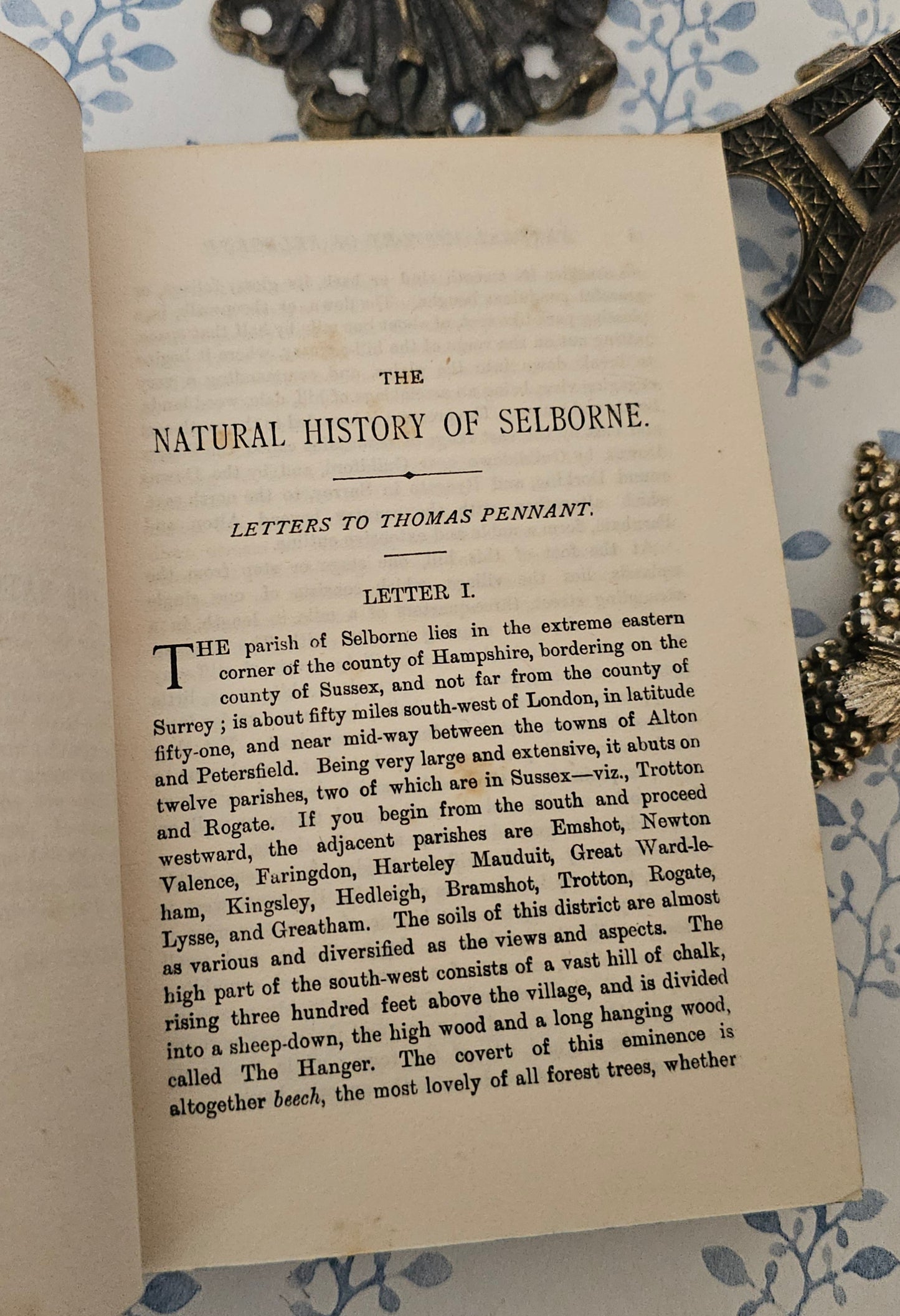 c1912 Natural History of Selborne: Antique Fine Leather Binding