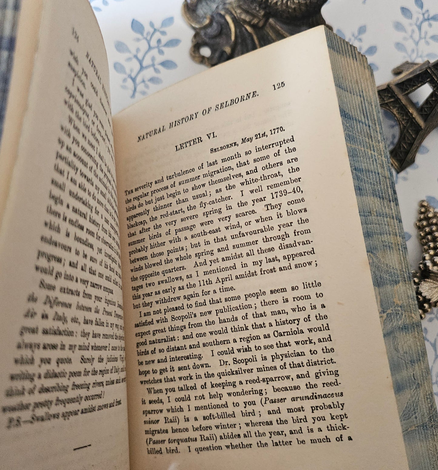 c1912 Natural History of Selborne: Antique Fine Leather Binding