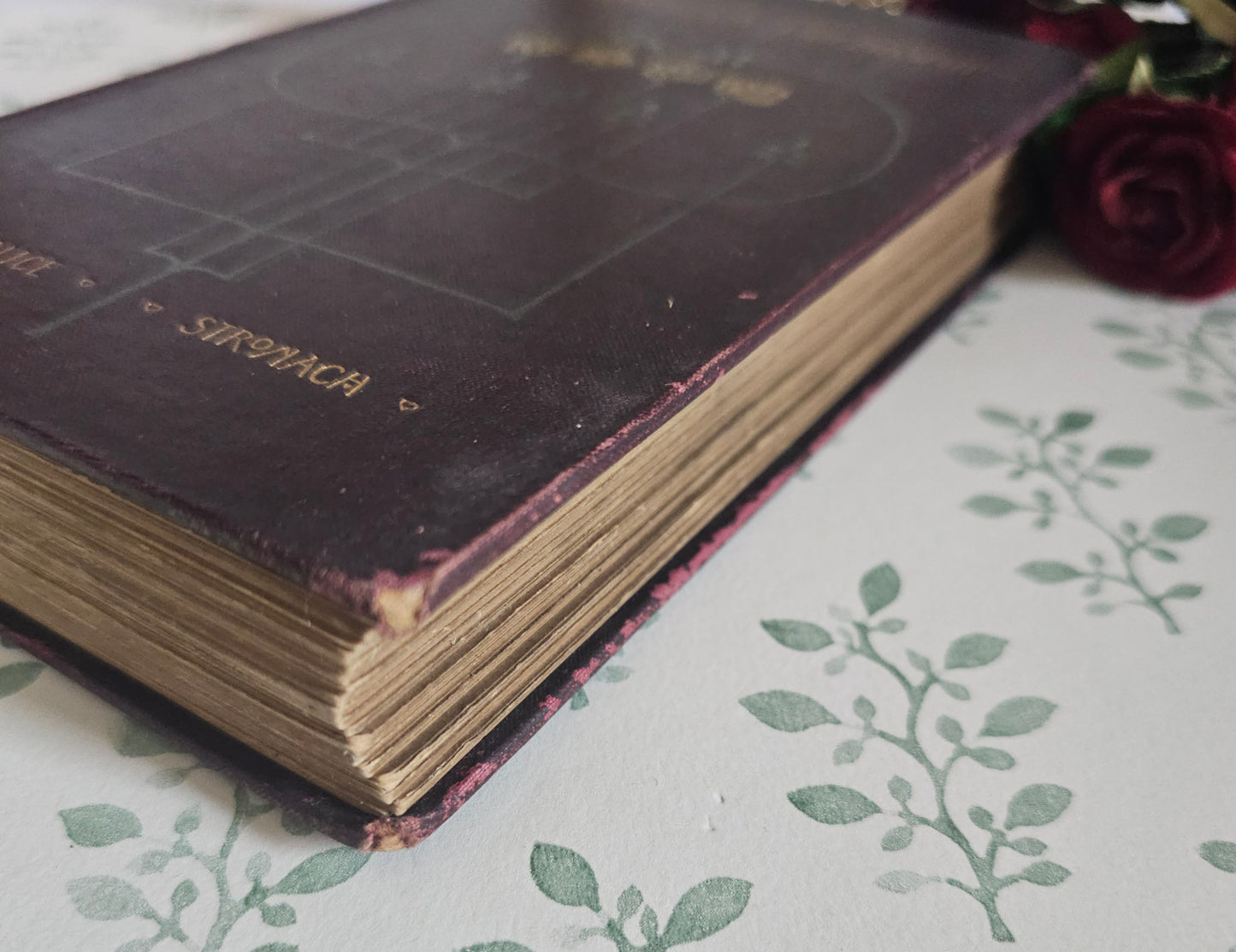 1901 A Newnham Friendship by Stronach - Art Nouveau Binding