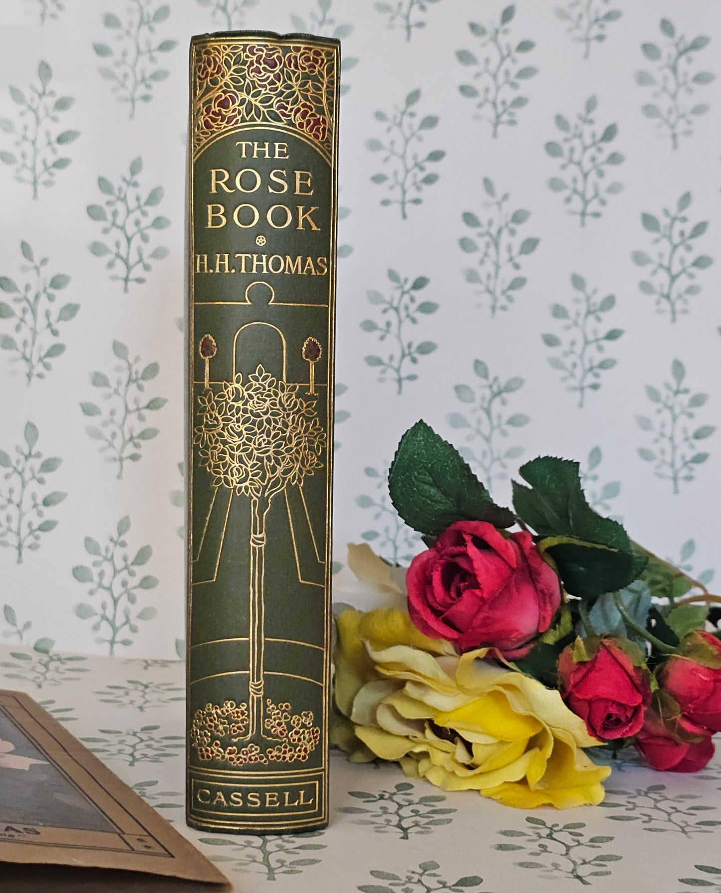 1926 The Rose Book by HH Thomas / Eight Colour Plates & Many BW