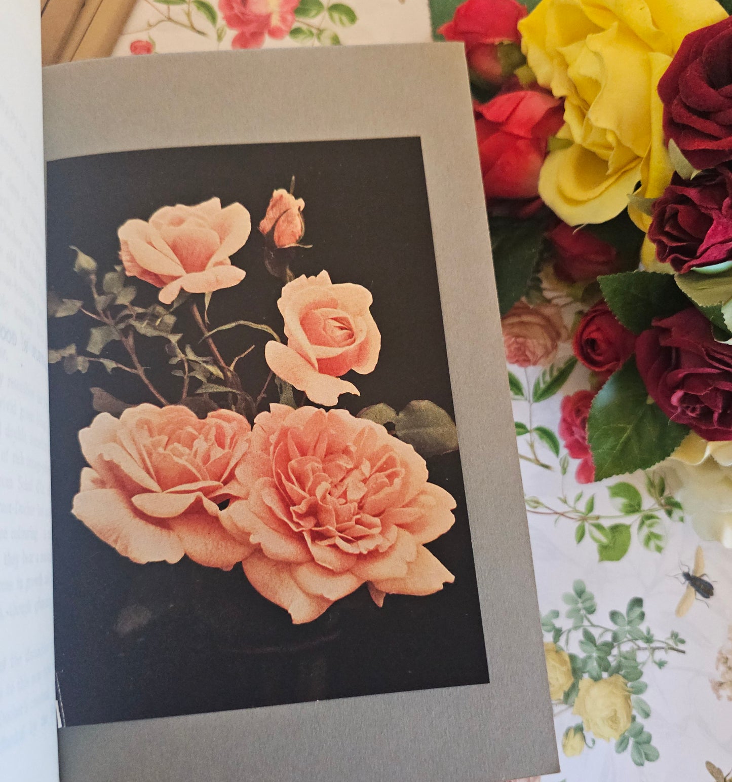 1926 The Rose Book by HH Thomas / Eight Colour Plates & Many BW