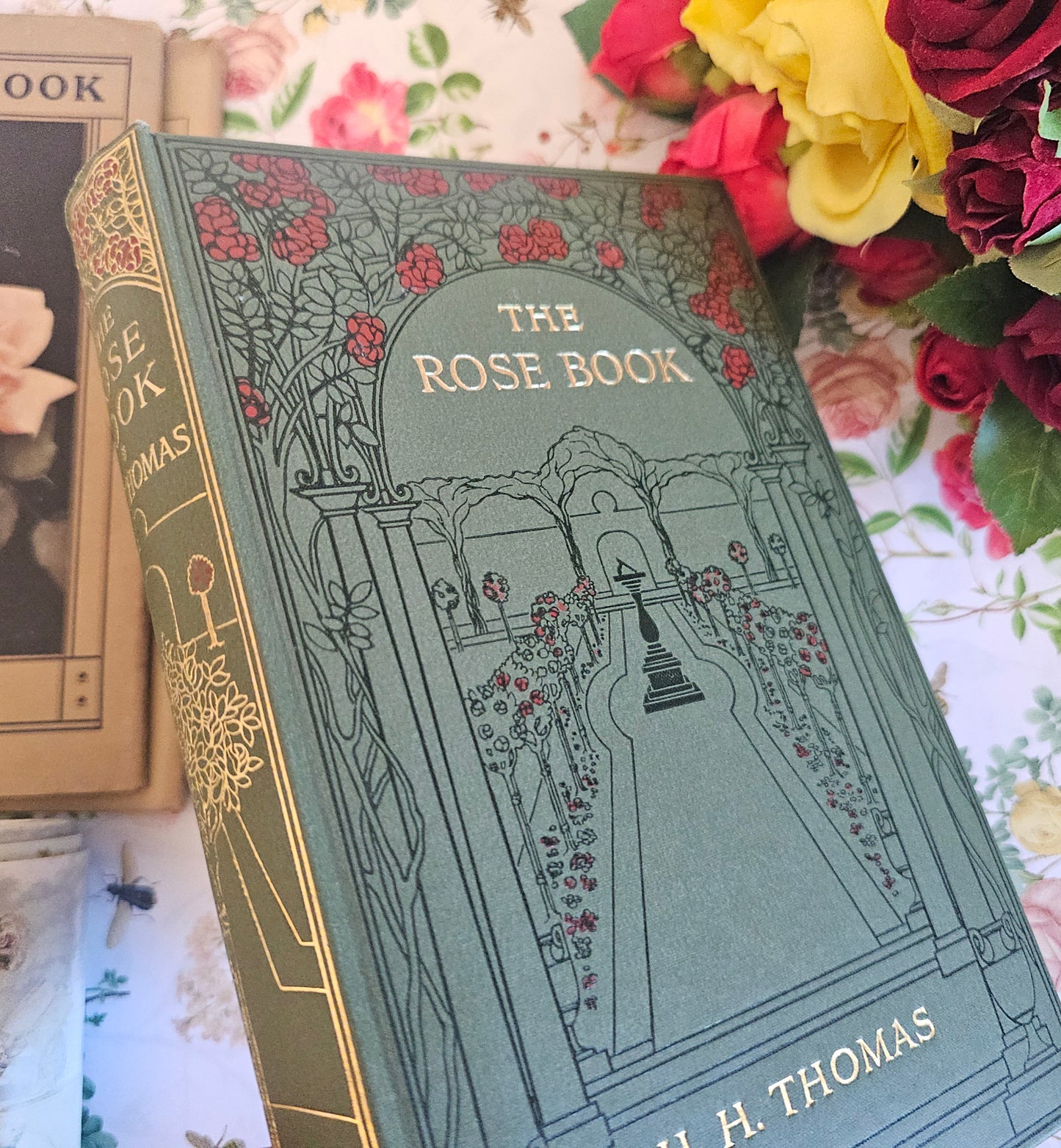 1926 The Rose Book by HH Thomas / Eight Colour Plates & Many BW