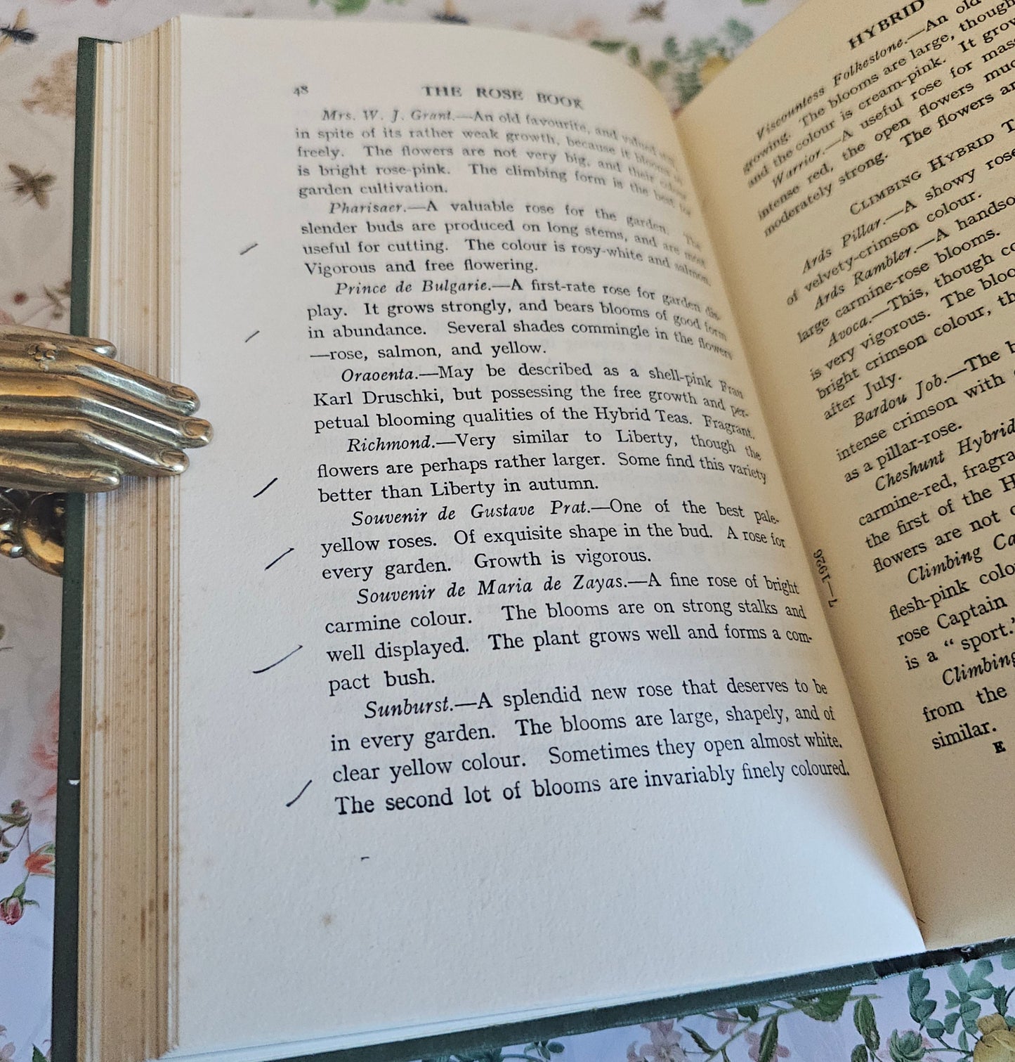 1926 The Rose Book by HH Thomas / Eight Colour Plates & Many BW