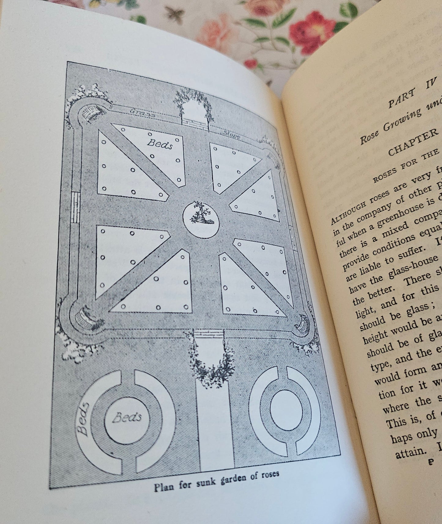 1926 The Rose Book by HH Thomas / Eight Colour Plates & Many BW