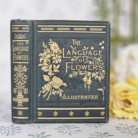 1885 The Language and Poetry of Flowers - Antique Book - Colour Illustrations