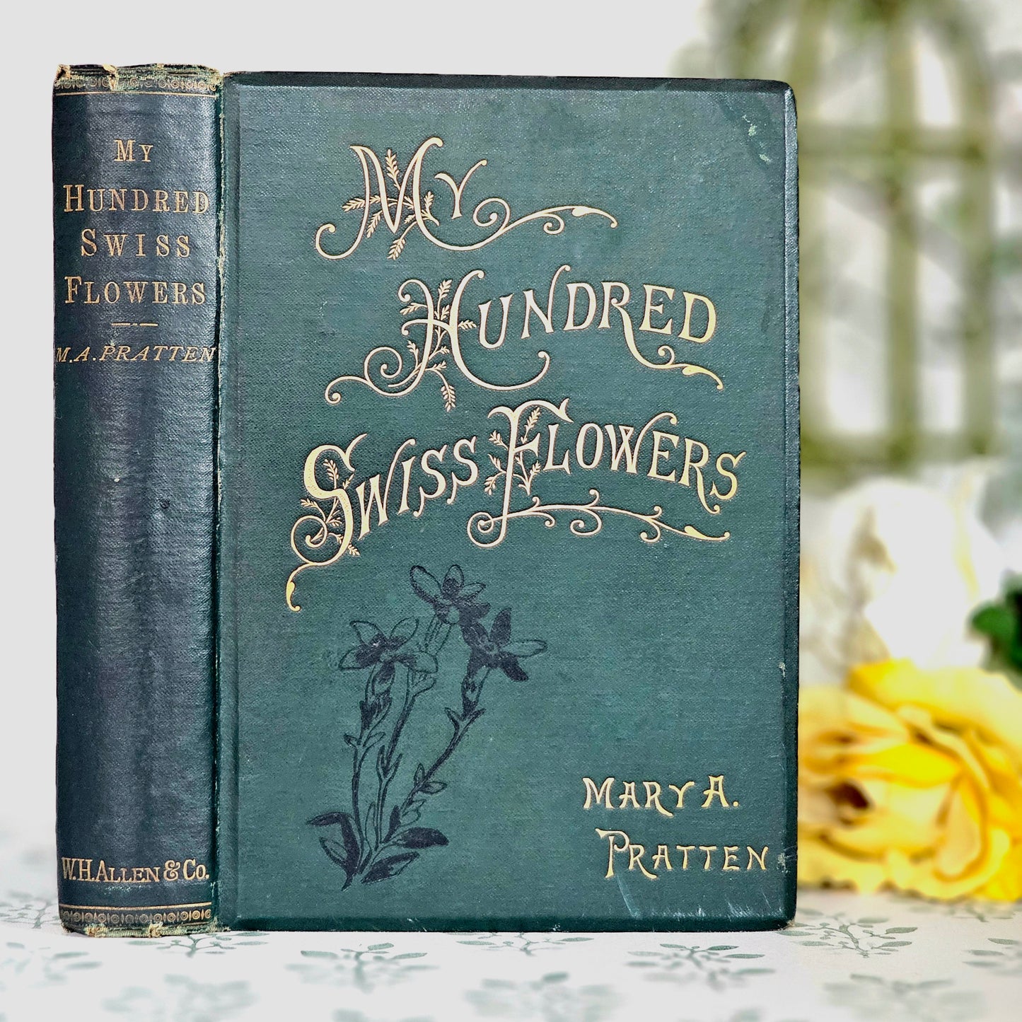 1887 My Hundred Swiss Flowers - Antique - Richly Illustrated