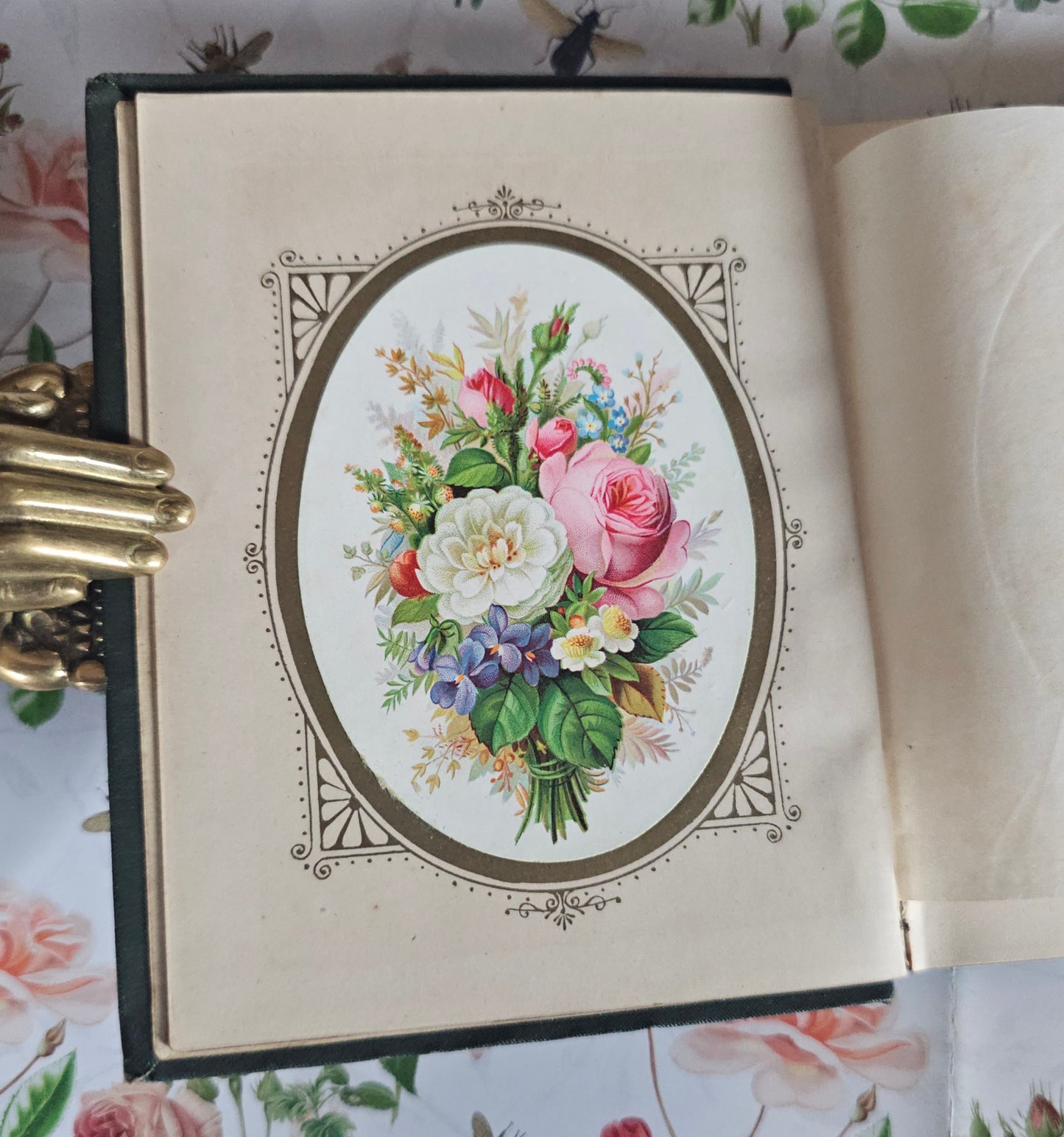 1885 The Language and Poetry of Flowers - Antique Book - Colour Illustrations