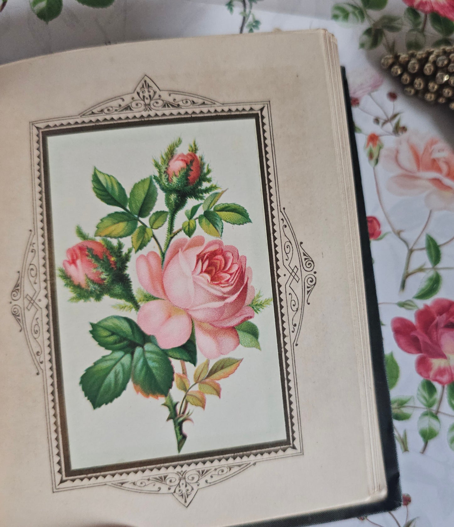 1885 The Language and Poetry of Flowers - Antique Book - Colour Illustrations
