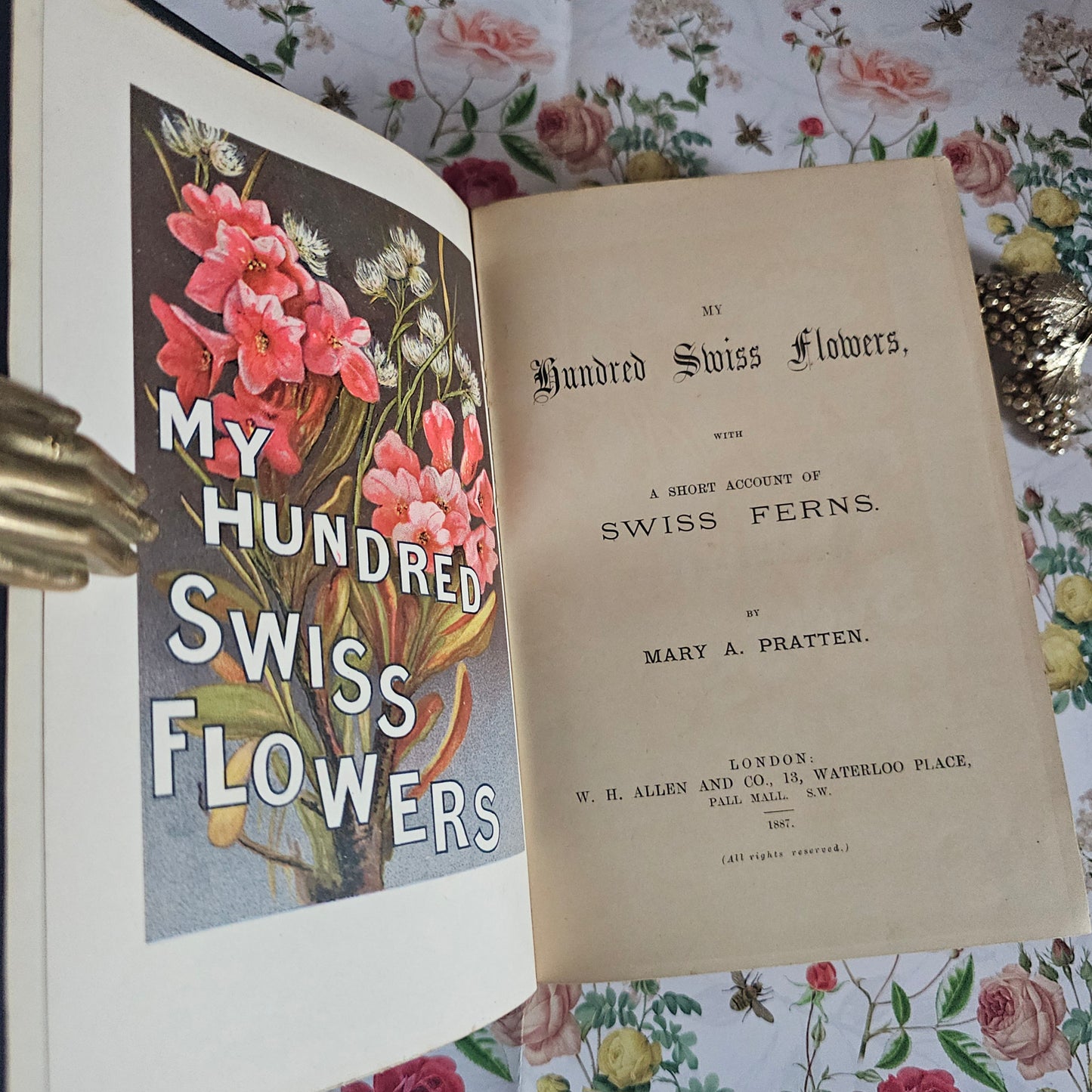 1887 My Hundred Swiss Flowers - Antique - Richly Illustrated
