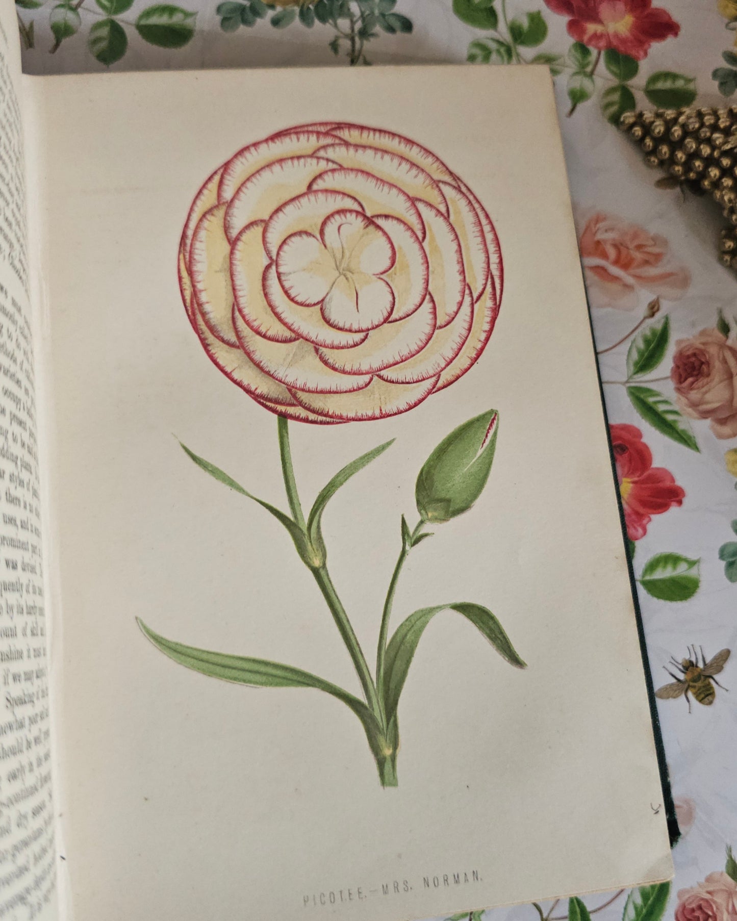 1878 The Amateur's Flower Garden by Hibberd- Antique - Illustrated