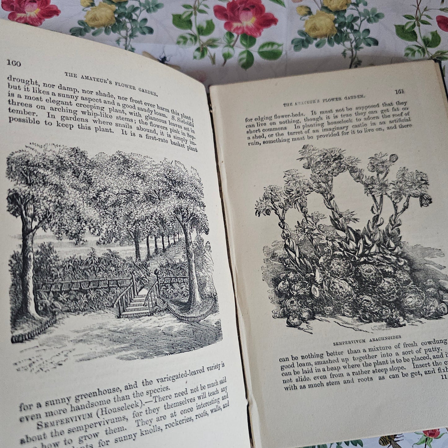 1878 The Amateur's Flower Garden by Hibberd- Antique - Illustrated