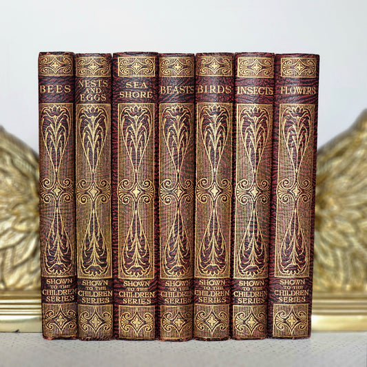 1910s Lovely Set of Seven Nature Titles - Richly Illustrated
