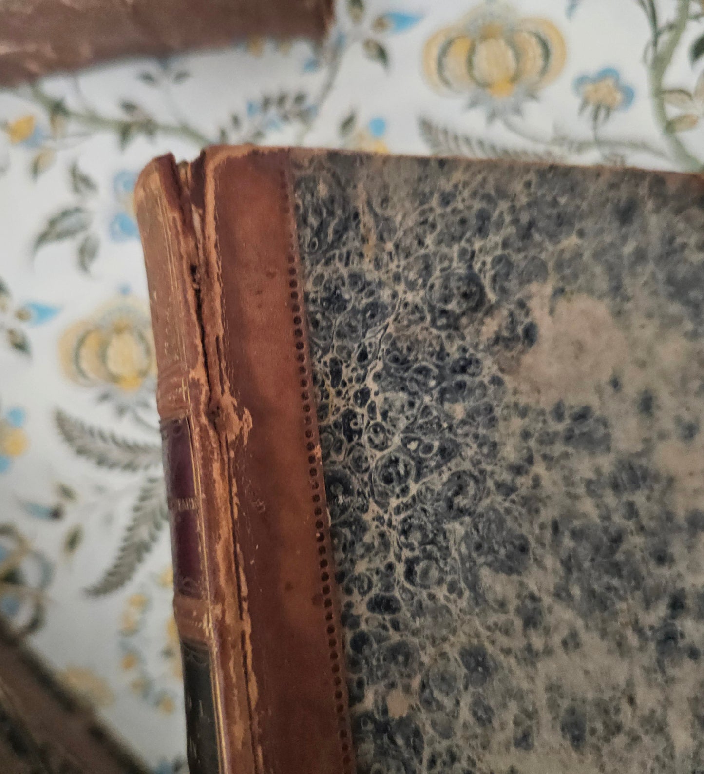 1822 The Dramatic Works of William Shakespeare - 5 Antique Books
