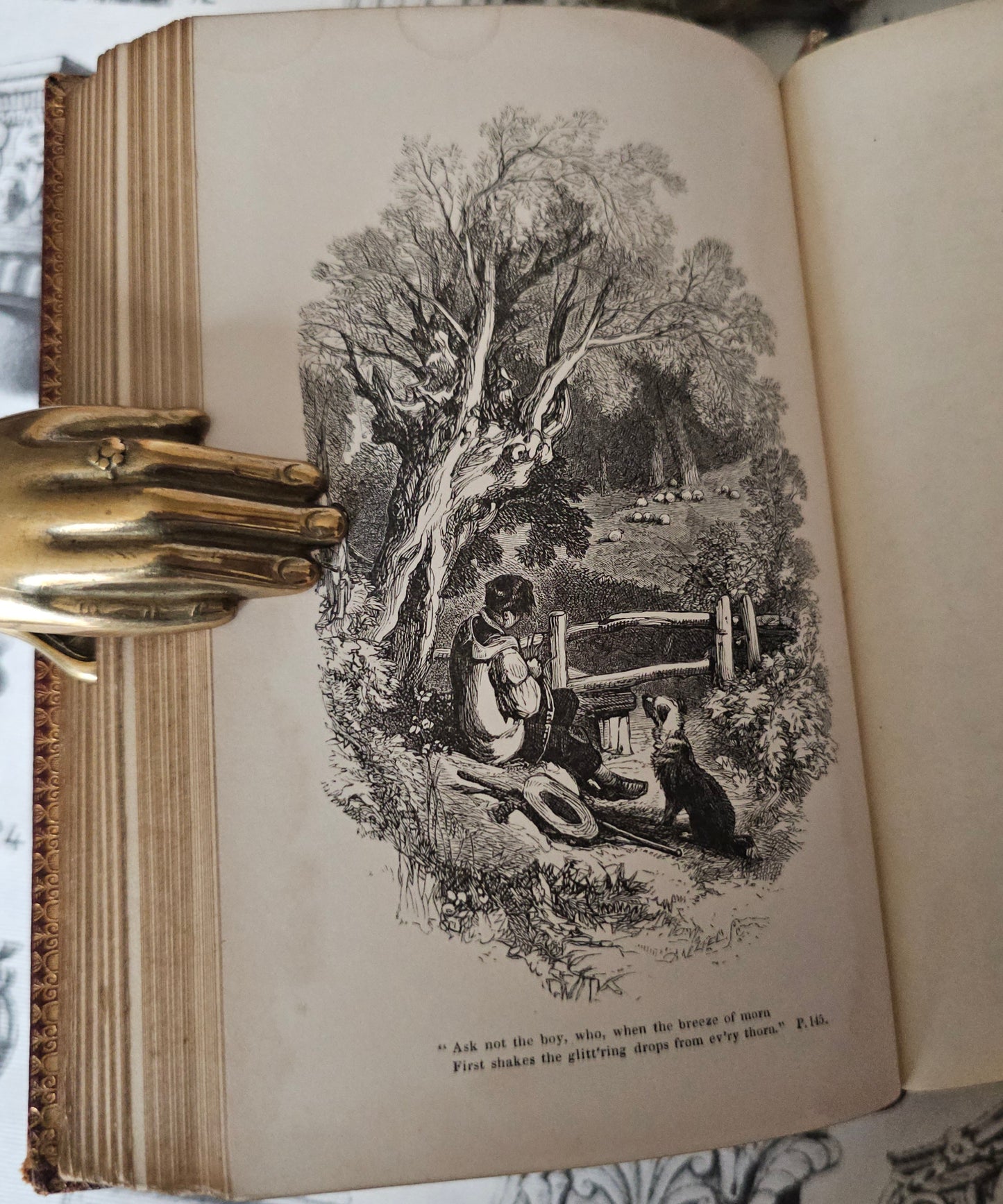 1855 Poetical Works of William Cowper: Illustrated Antique Leather Bound Book