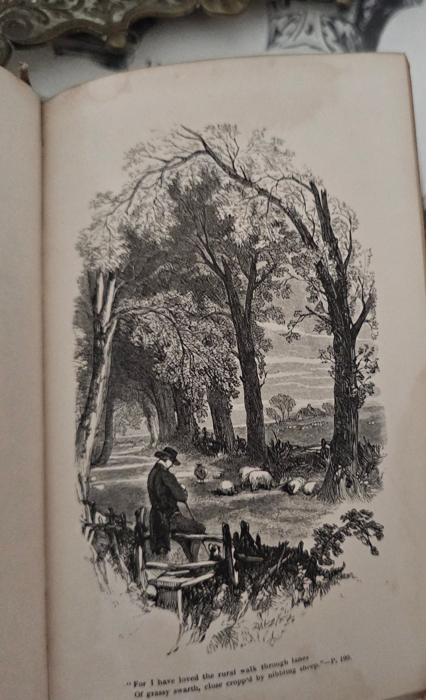 1855 Poetical Works of William Cowper: Illustrated Antique Leather Bound Book