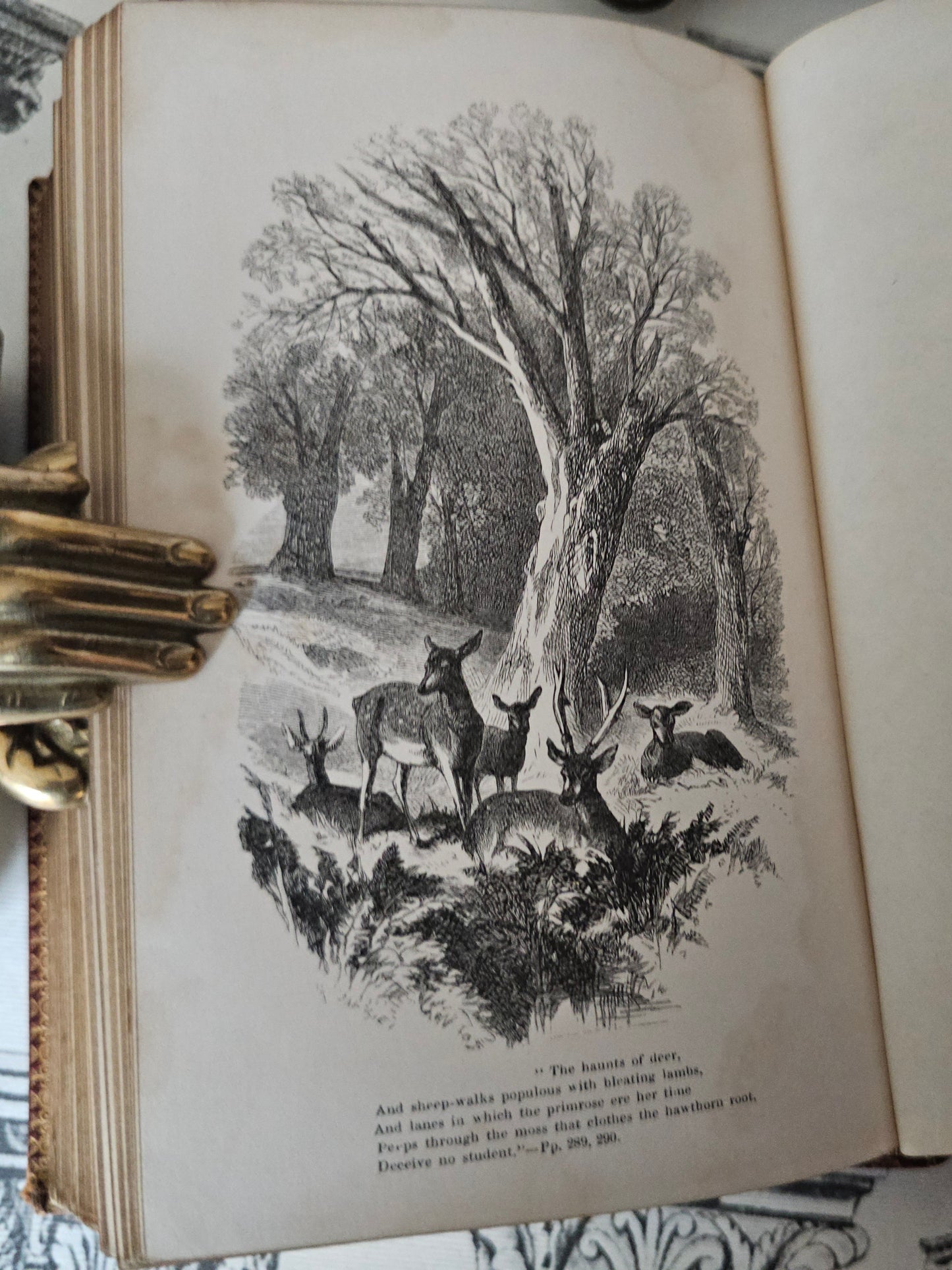 1855 Poetical Works of William Cowper: Illustrated Antique Leather Bound Book