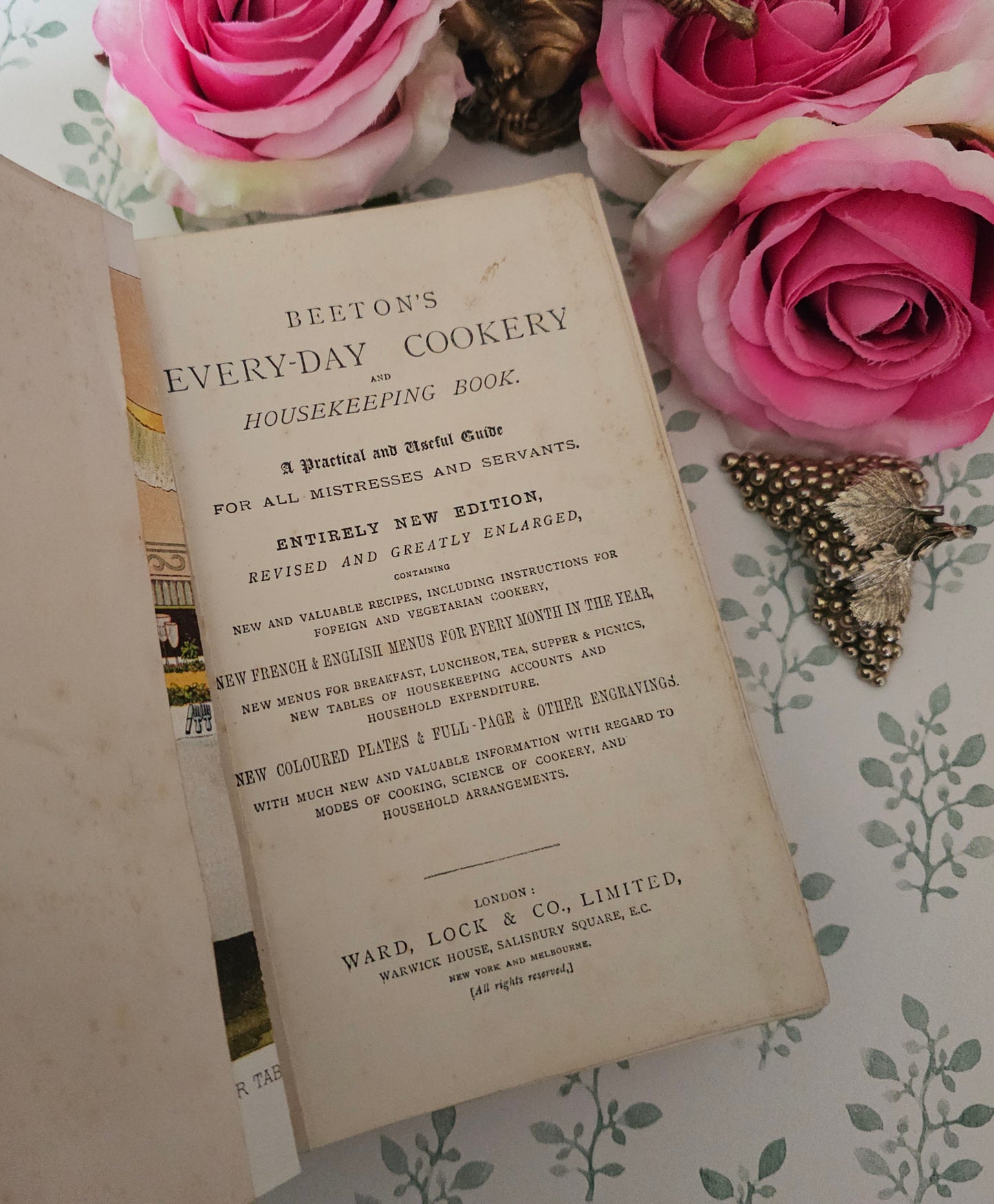 1890s Beeton's Every Day Cookery and Housekeeping Book / Victorian - Colour Plates