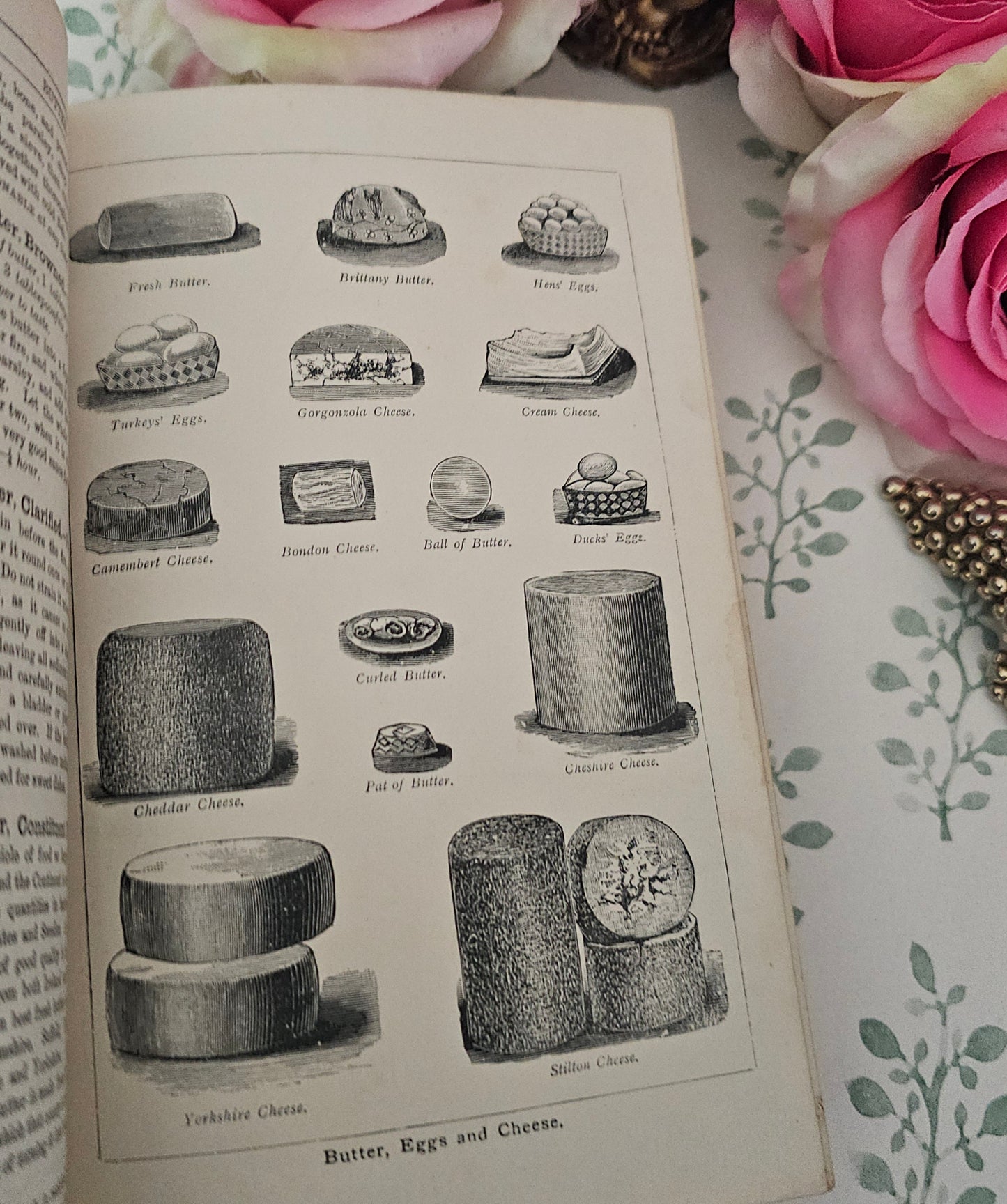 1890s Beeton's Every Day Cookery and Housekeeping Book / Victorian - Colour Plates