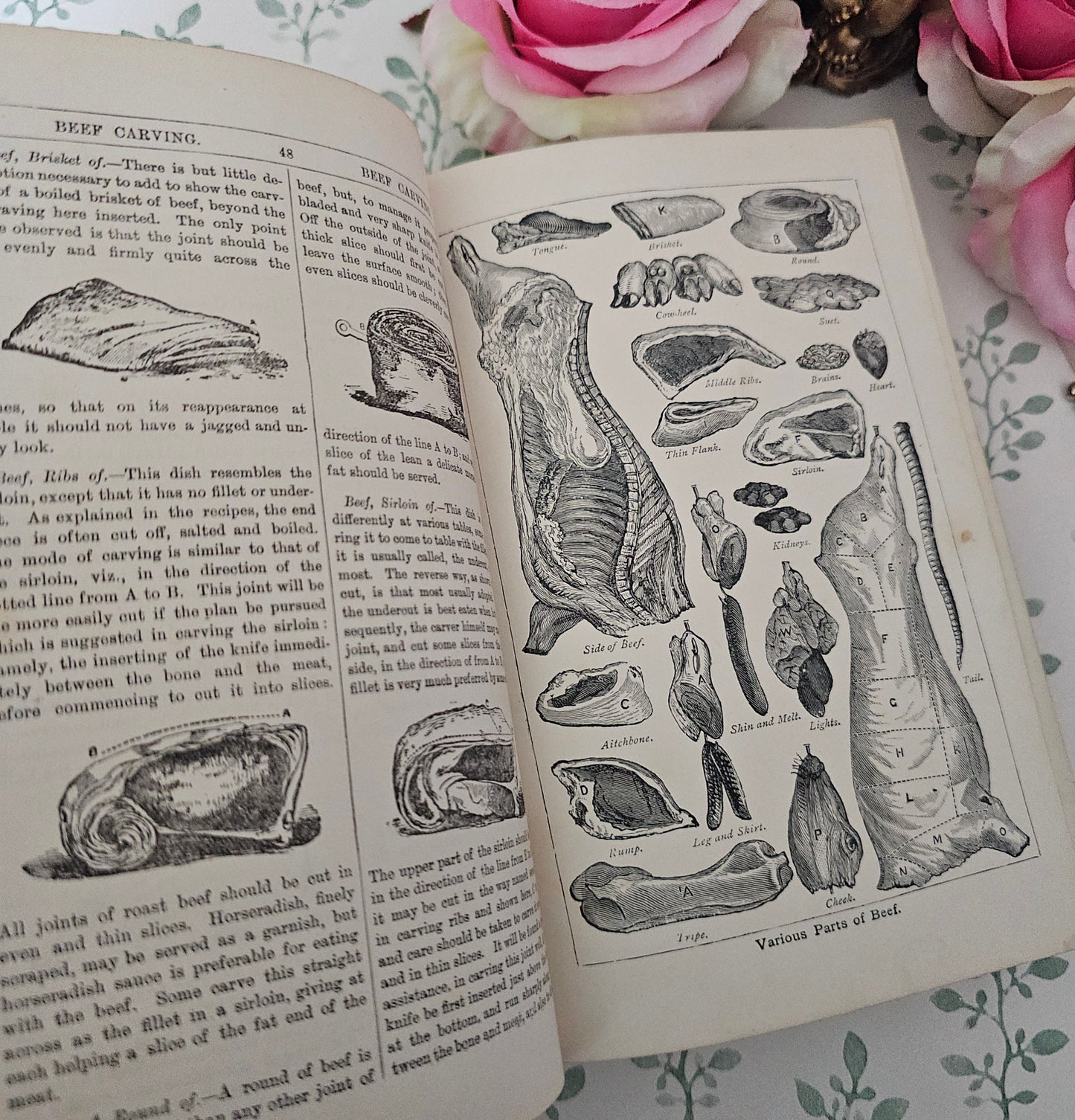 1890s Beeton's Every Day Cookery and Housekeeping Book / Victorian - Colour Plates