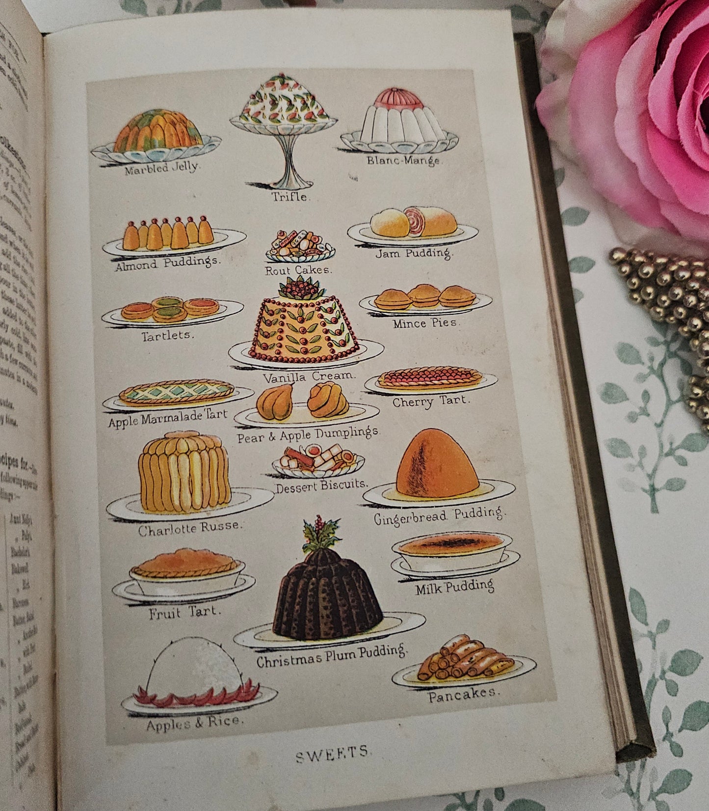 1890s Beeton's Every Day Cookery and Housekeeping Book / Victorian - Colour Plates