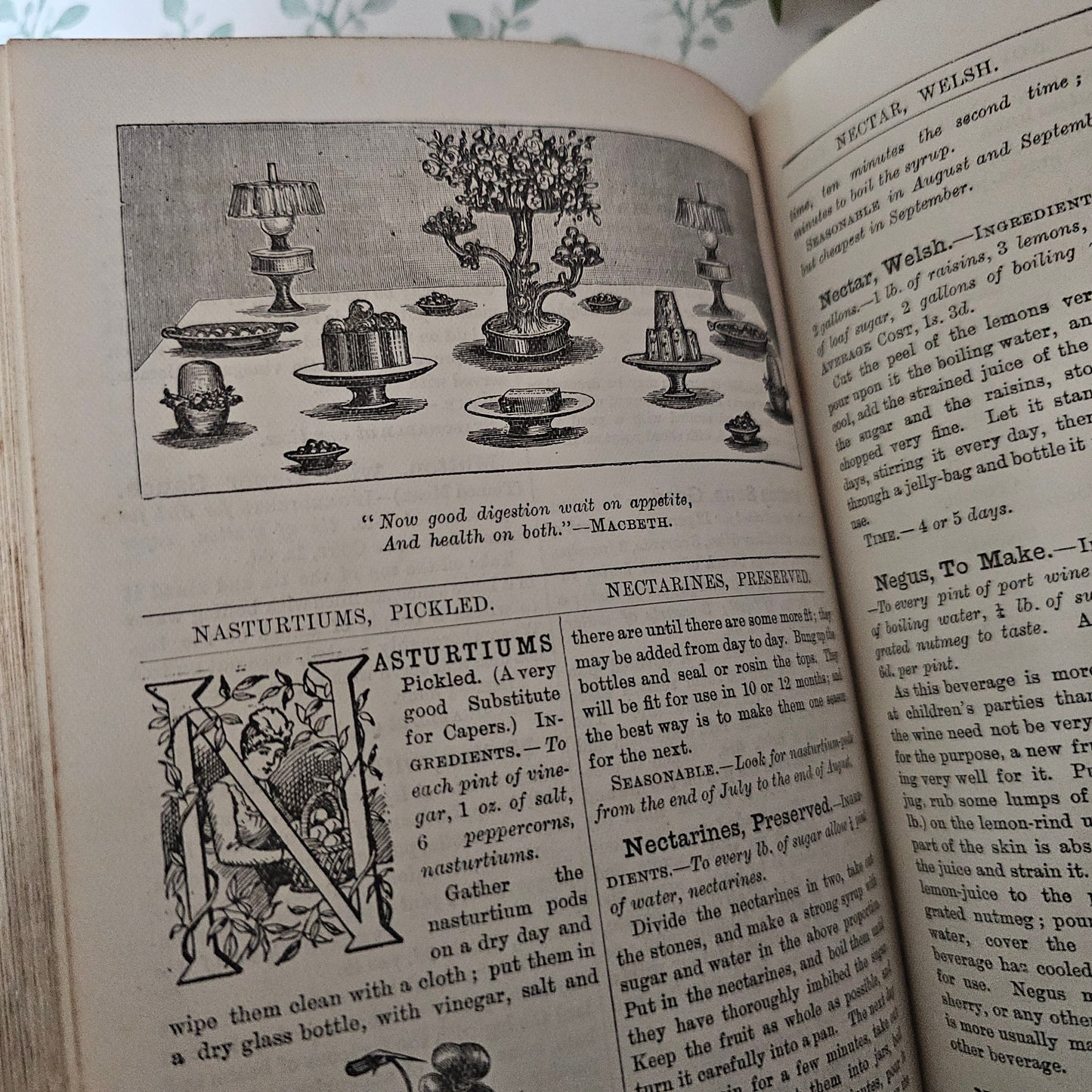 1890s Beeton's Every Day Cookery and Housekeeping Book / Victorian - Colour Plates