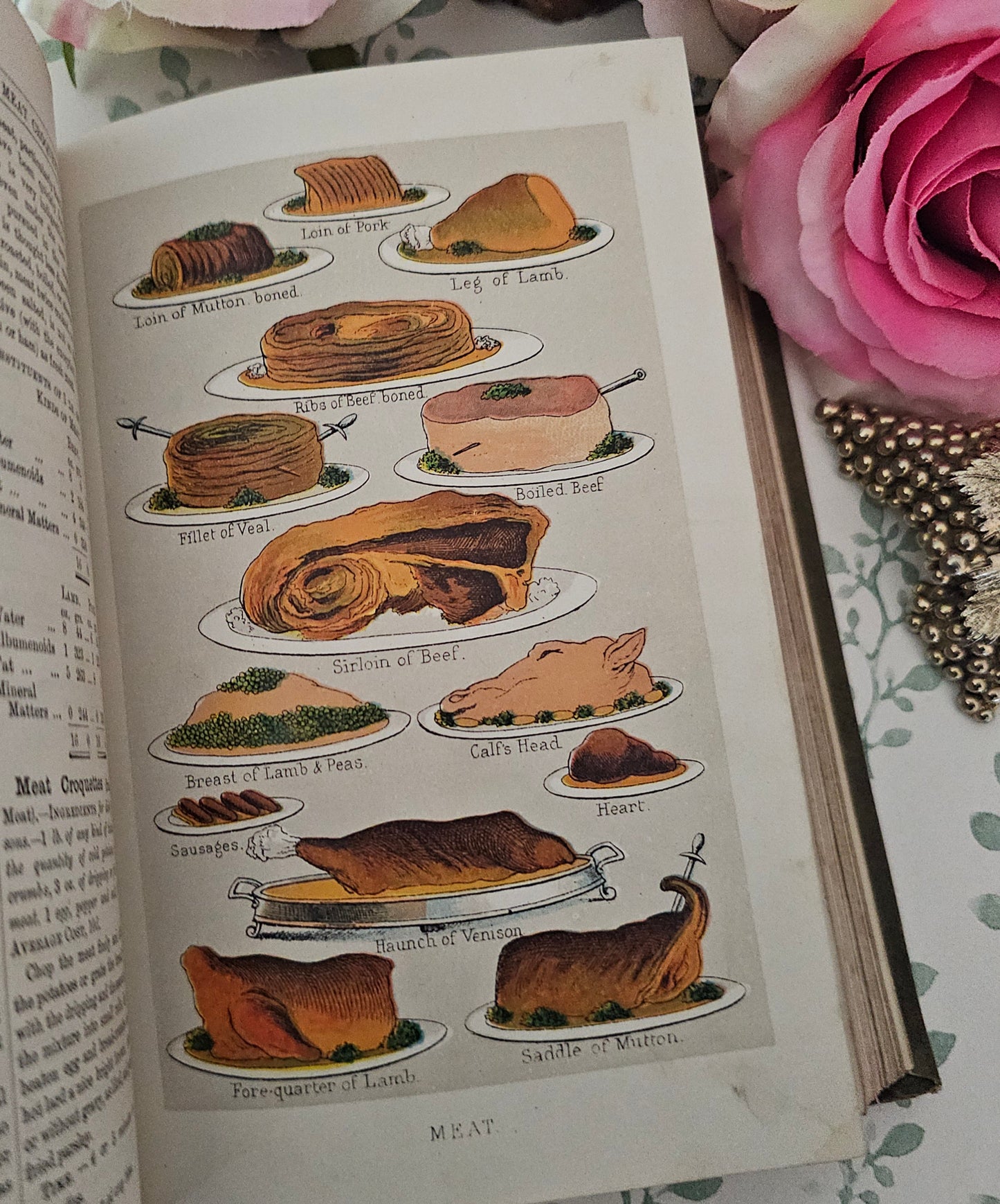 1890s Beeton's Every Day Cookery and Housekeeping Book / Victorian - Colour Plates