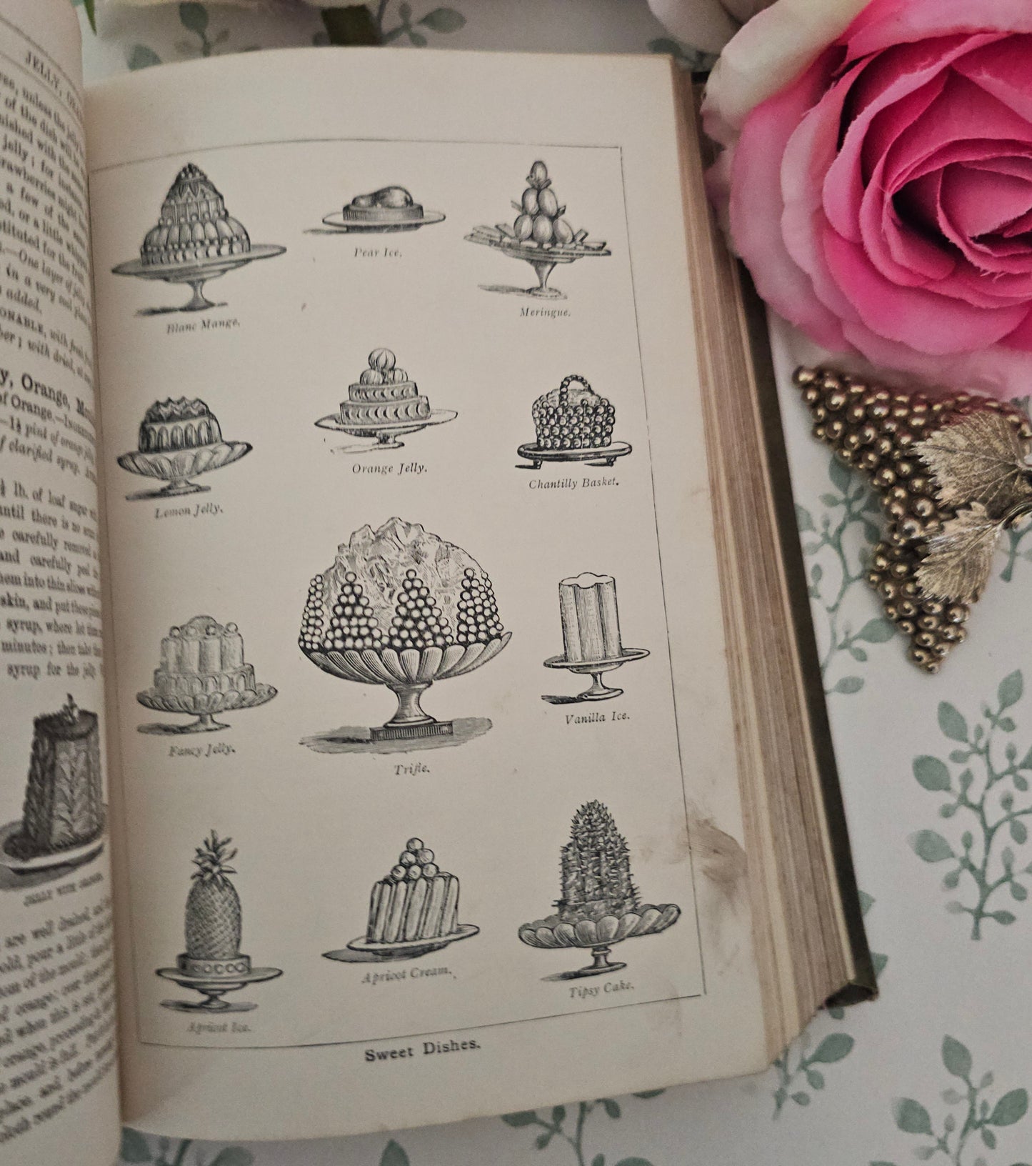 1890s Beeton's Every Day Cookery and Housekeeping Book / Victorian - Colour Plates