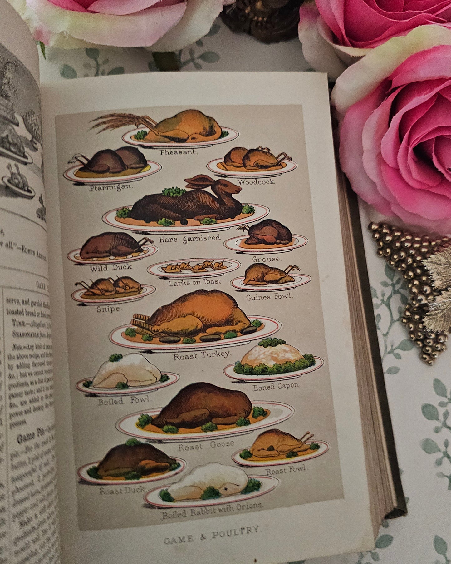 1890s Beeton's Every Day Cookery and Housekeeping Book / Victorian - Colour Plates