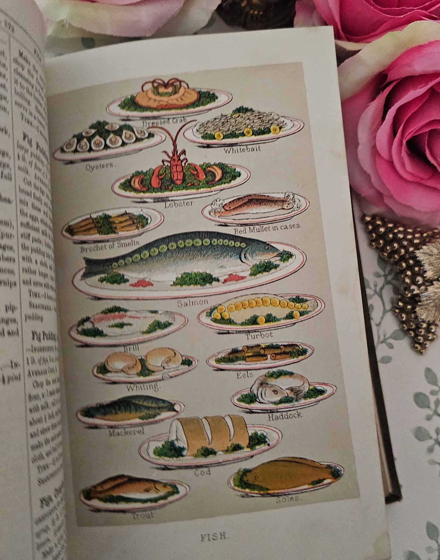 1890s Beeton's Every Day Cookery and Housekeeping Book / Victorian - Colour Plates