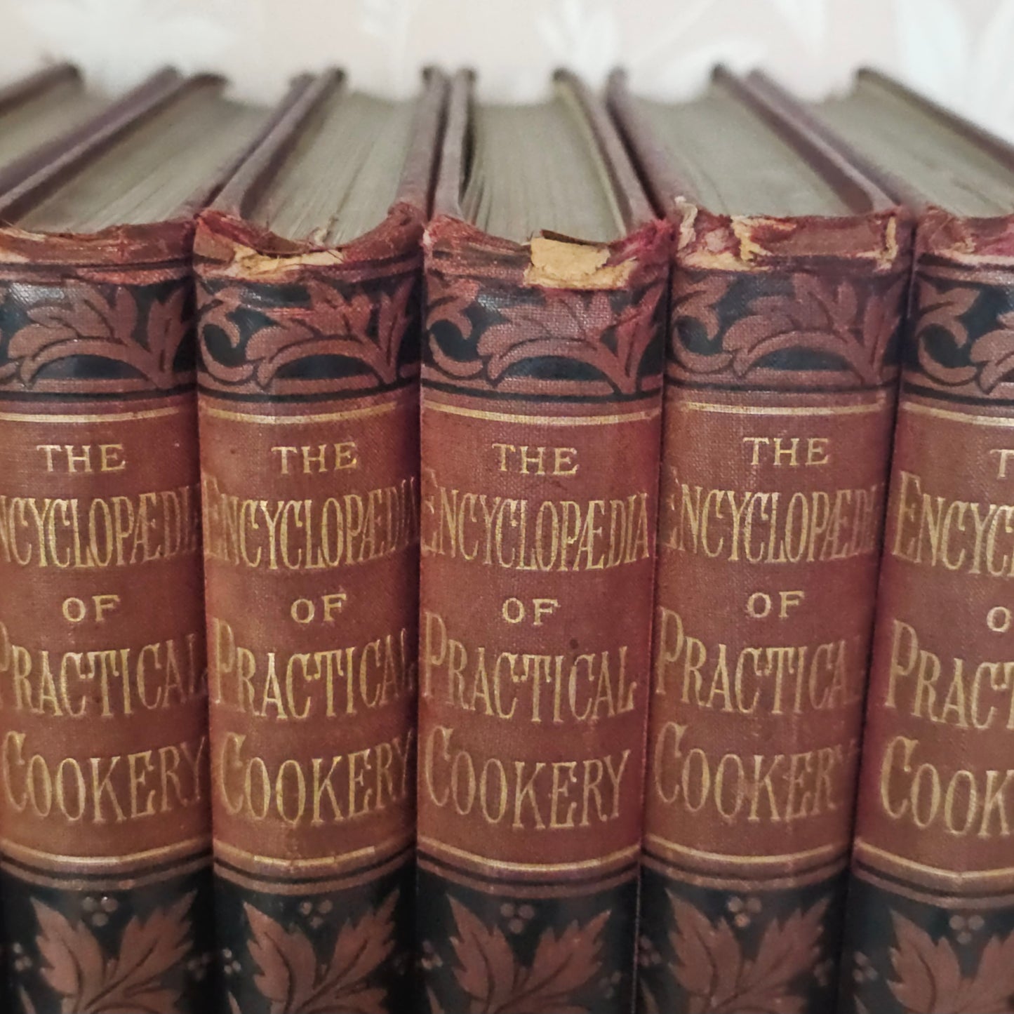 Antique Cookery Encyclopaedia in 8 Volumes - Superbly Illustrated