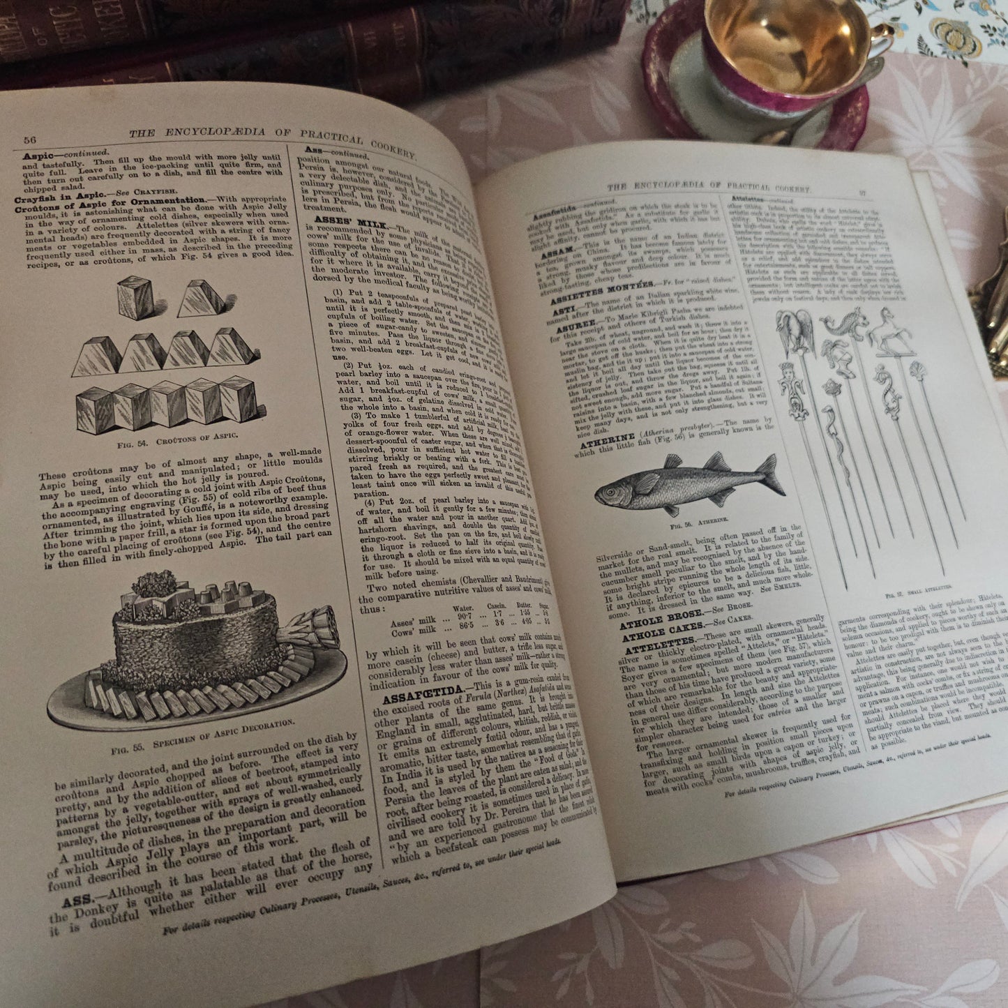 Antique Cookery Encyclopaedia in 8 Volumes - Superbly Illustrated