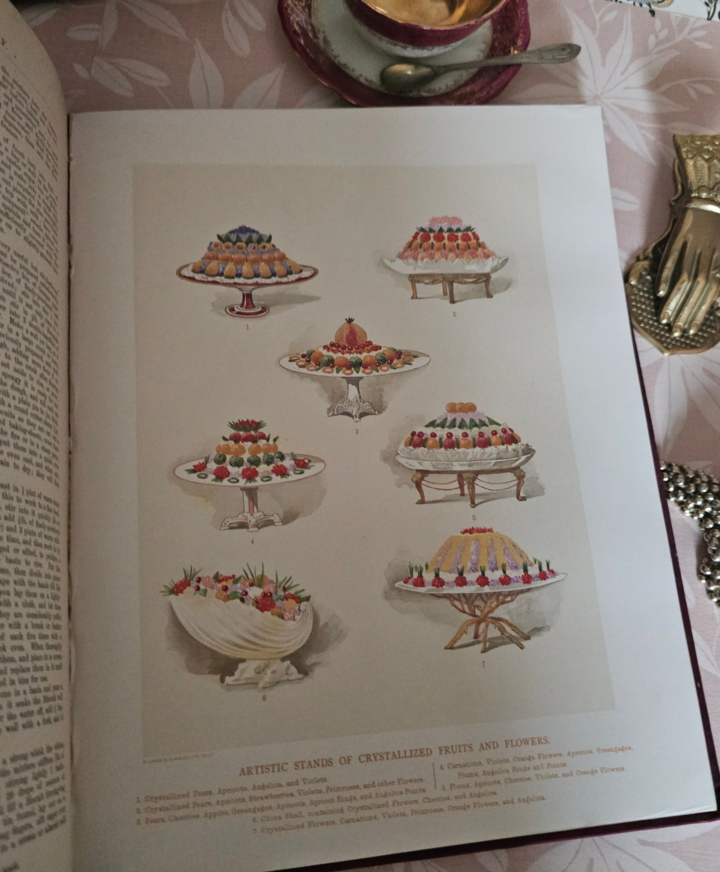 Antique Cookery Encyclopaedia in 8 Volumes - Superbly Illustrated