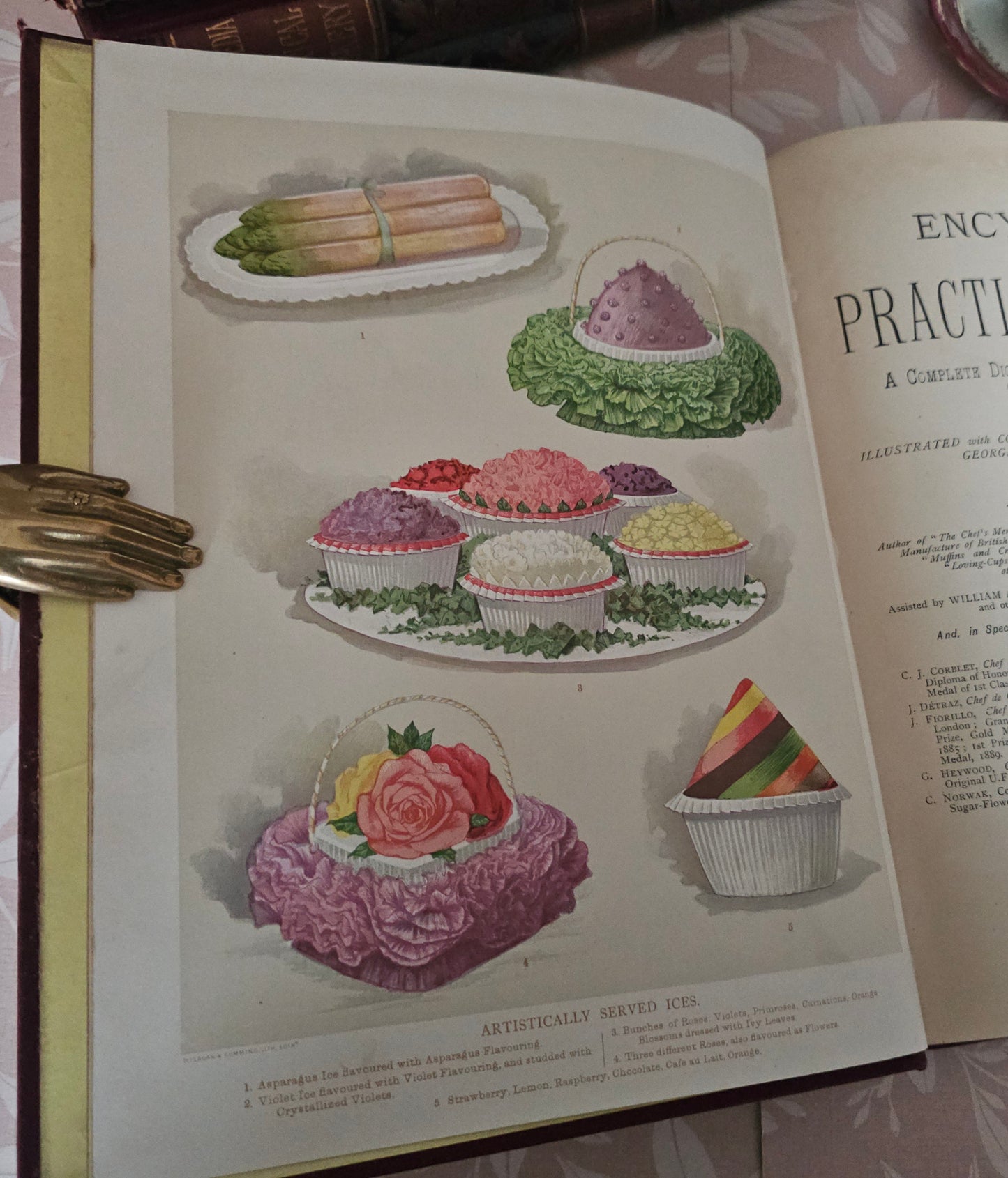 Antique Cookery Encyclopaedia in 8 Volumes - Superbly Illustrated