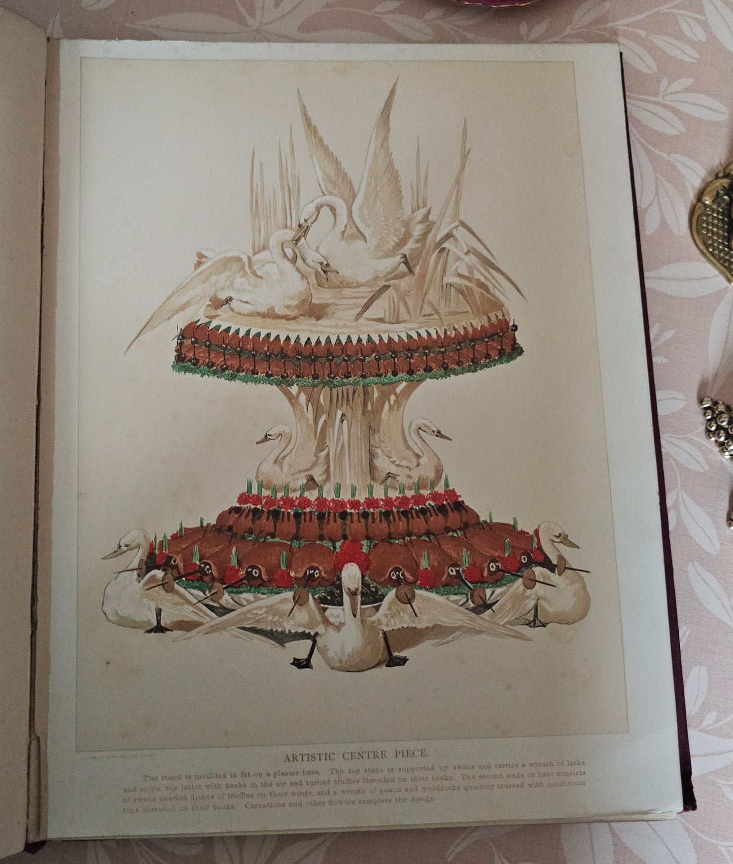 Antique Cookery Encyclopaedia in 8 Volumes - Superbly Illustrated