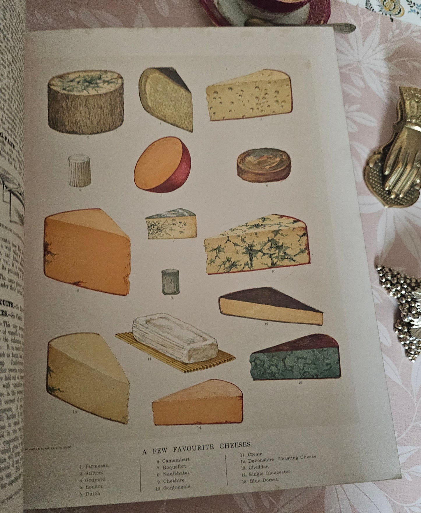 Antique Cookery Encyclopaedia in 8 Volumes - Superbly Illustrated