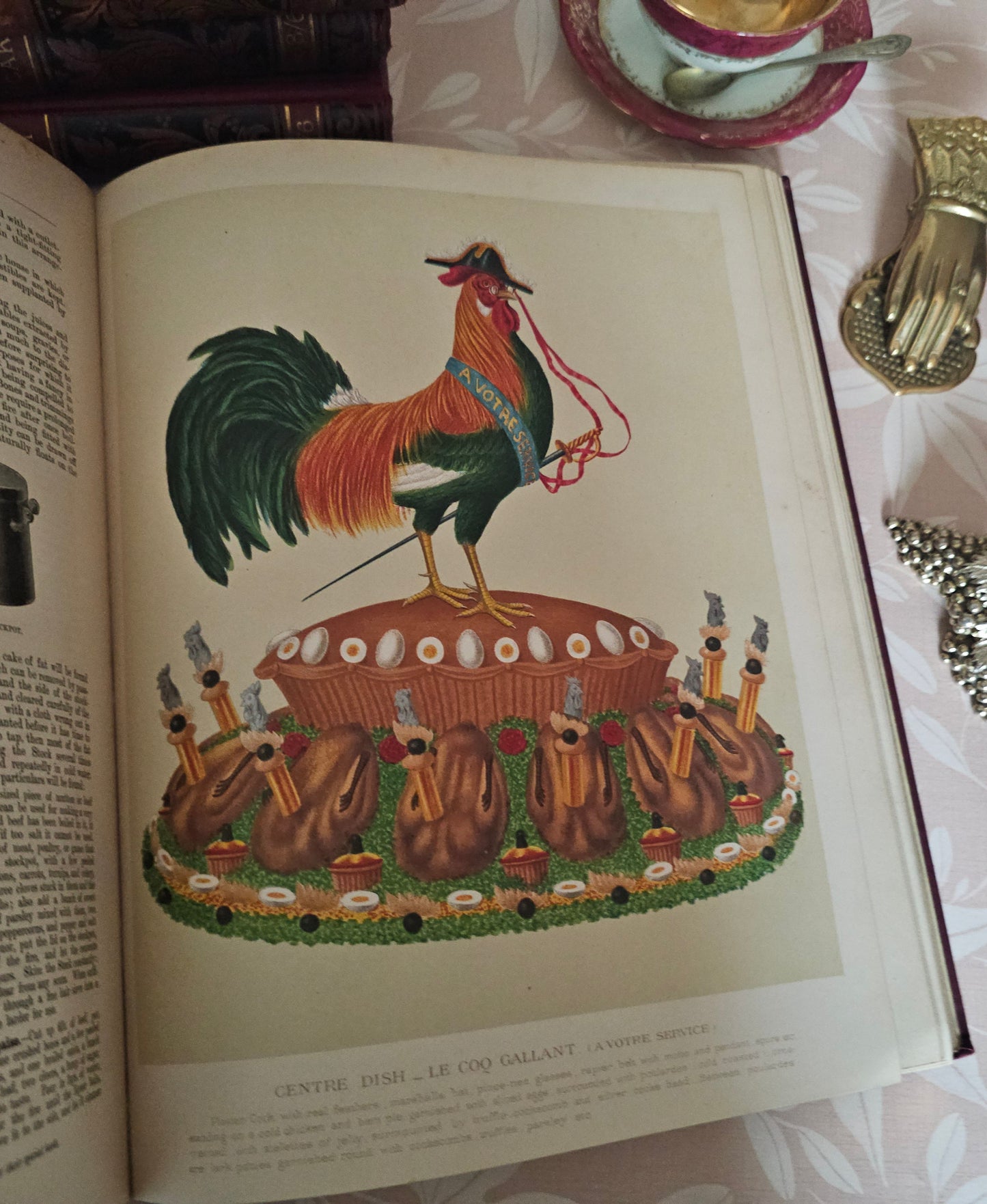 Antique Cookery Encyclopaedia in 8 Volumes - Superbly Illustrated