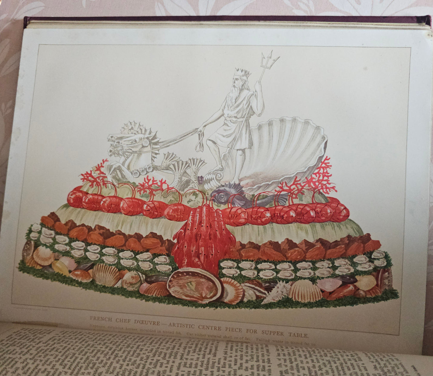 Antique Cookery Encyclopaedia in 8 Volumes - Superbly Illustrated