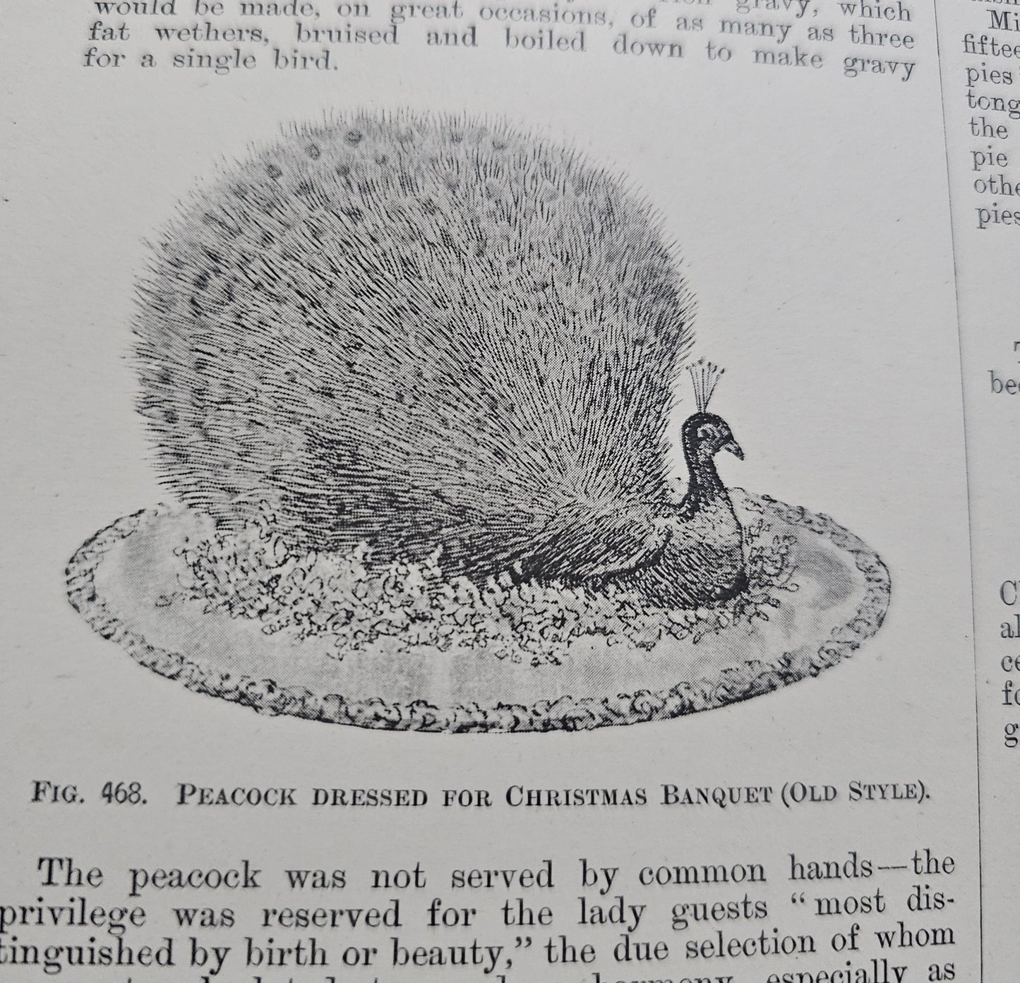 Antique Cookery Encyclopaedia in 8 Volumes - Superbly Illustrated