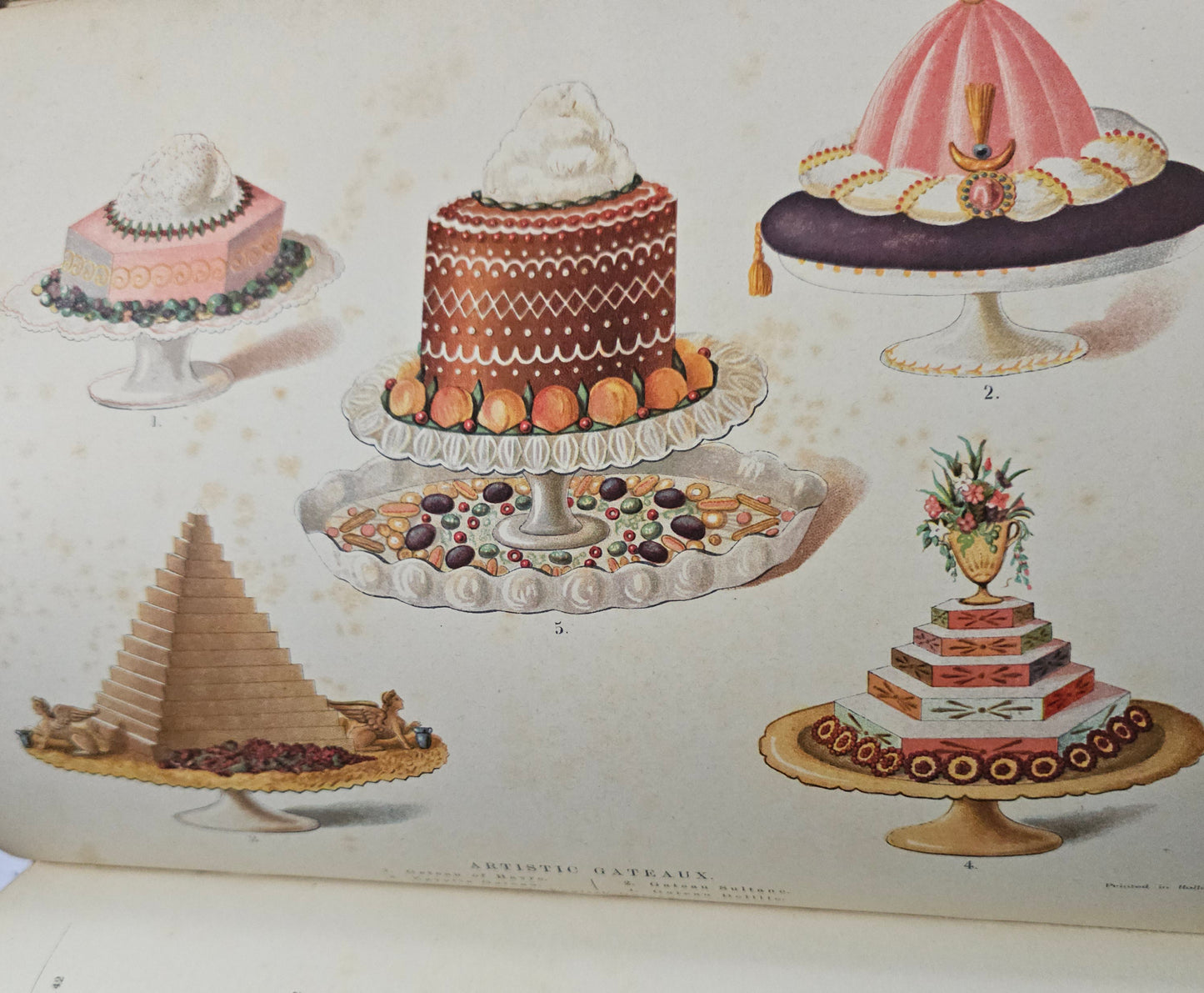 Antique Cookery Encyclopaedia in 8 Volumes - Superbly Illustrated