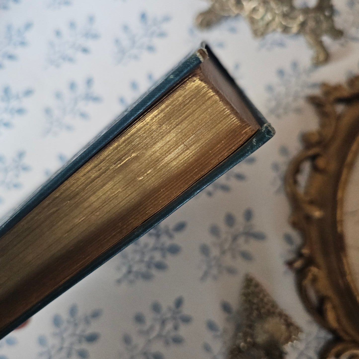 1895 Adventures of Hajji Baba - Illustrated and Turbayne Covers