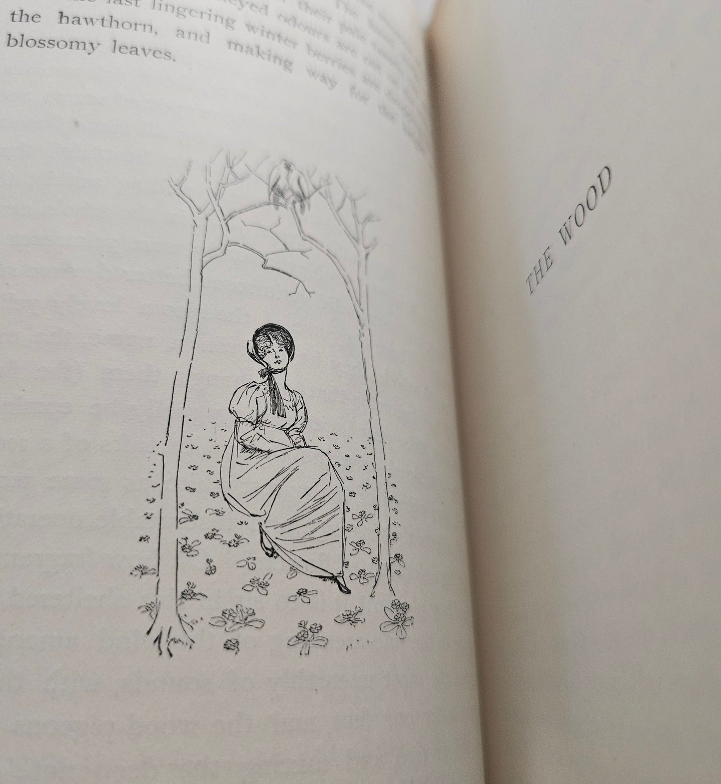 1893 Our Village by Miss Mitford: Illustrated Antique Edition