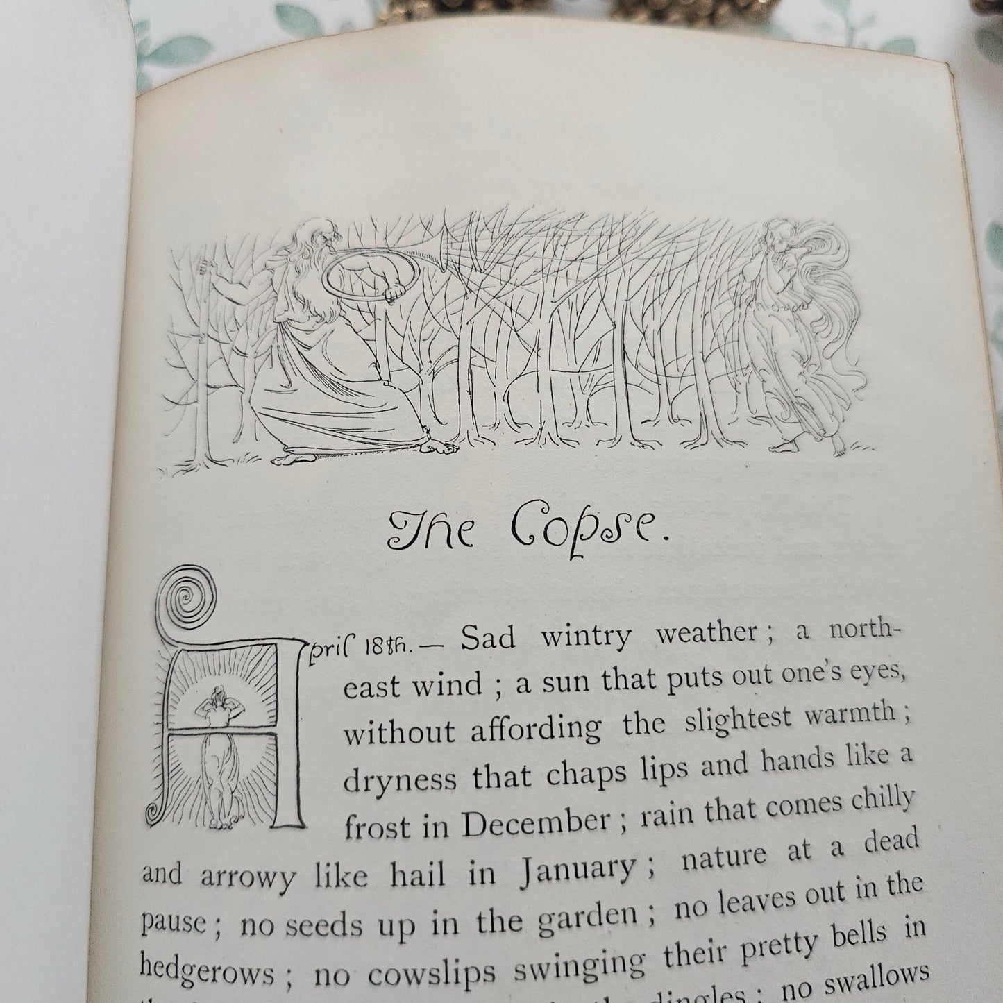 1893 Our Village by Miss Mitford: Illustrated Antique Edition