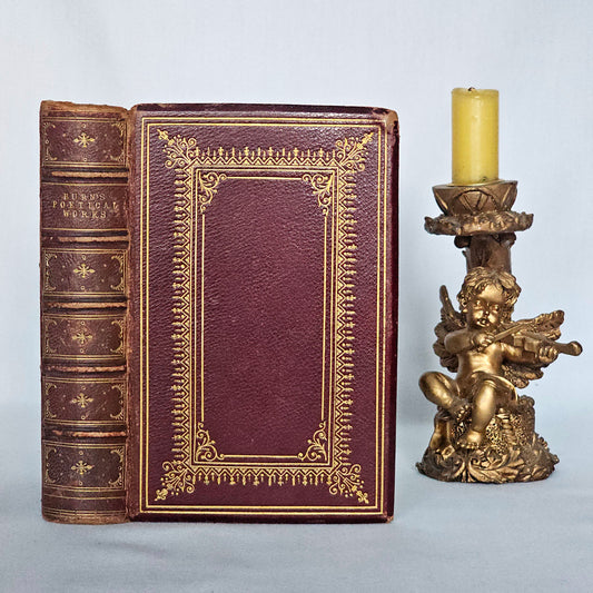 1869 The Poetical Works of Robert Burns - Antique Book in a Fine Binding - Illustrated