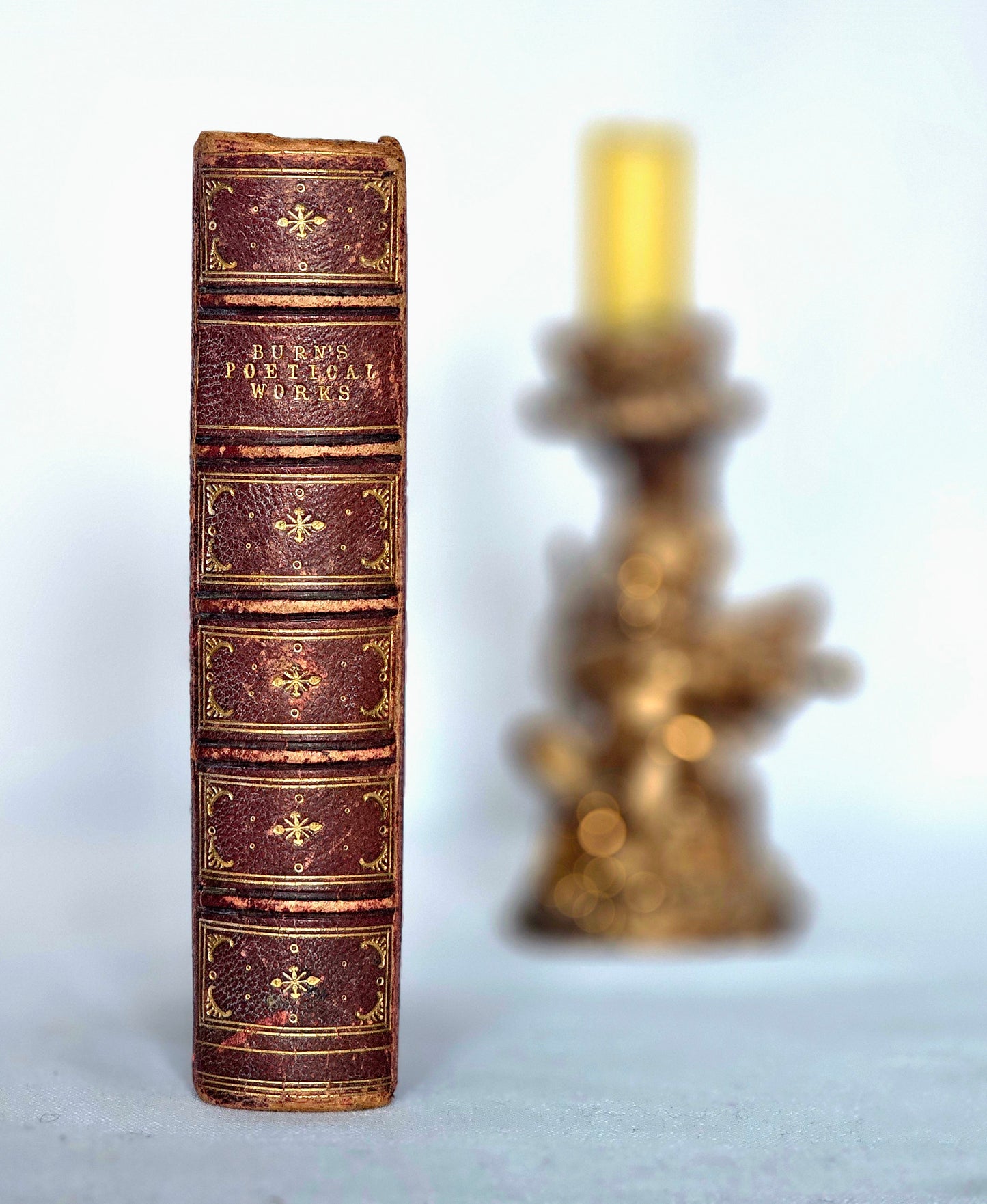 1869 The Poetical Works of Robert Burns - Antique Book in a Fine Binding - Illustrated