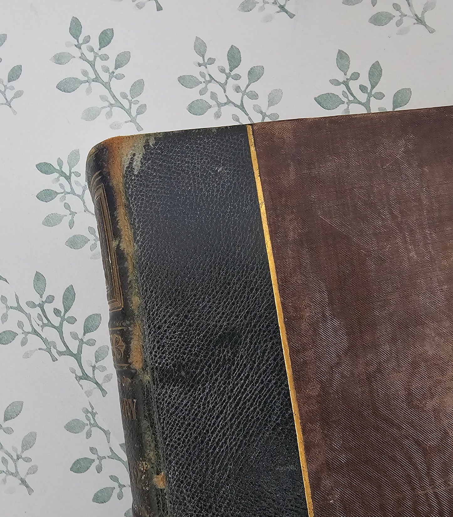 1808 History of James the Second by Charles James Fox - Antique History Book