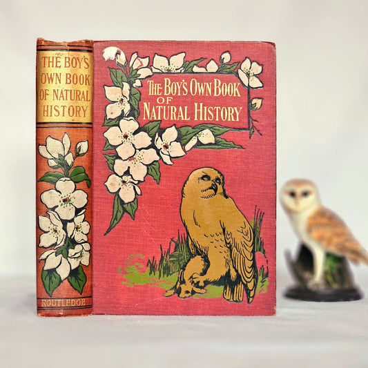 1904 The Boy's Own Book of Natural History - Illustrated Antique Book - Floral Spine