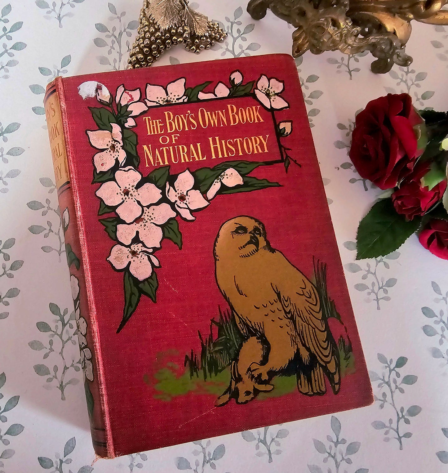 1904 The Boy's Own Book of Natural History - Illustrated Antique Book - Floral Spine